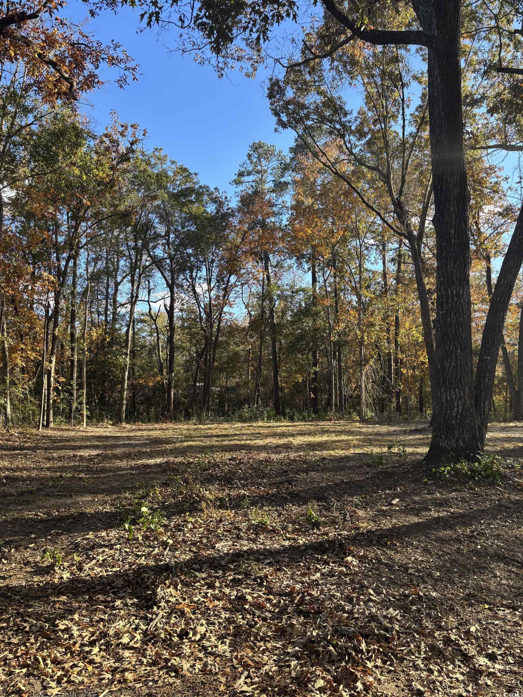 292 Pineneedle Circle Property Photo 1