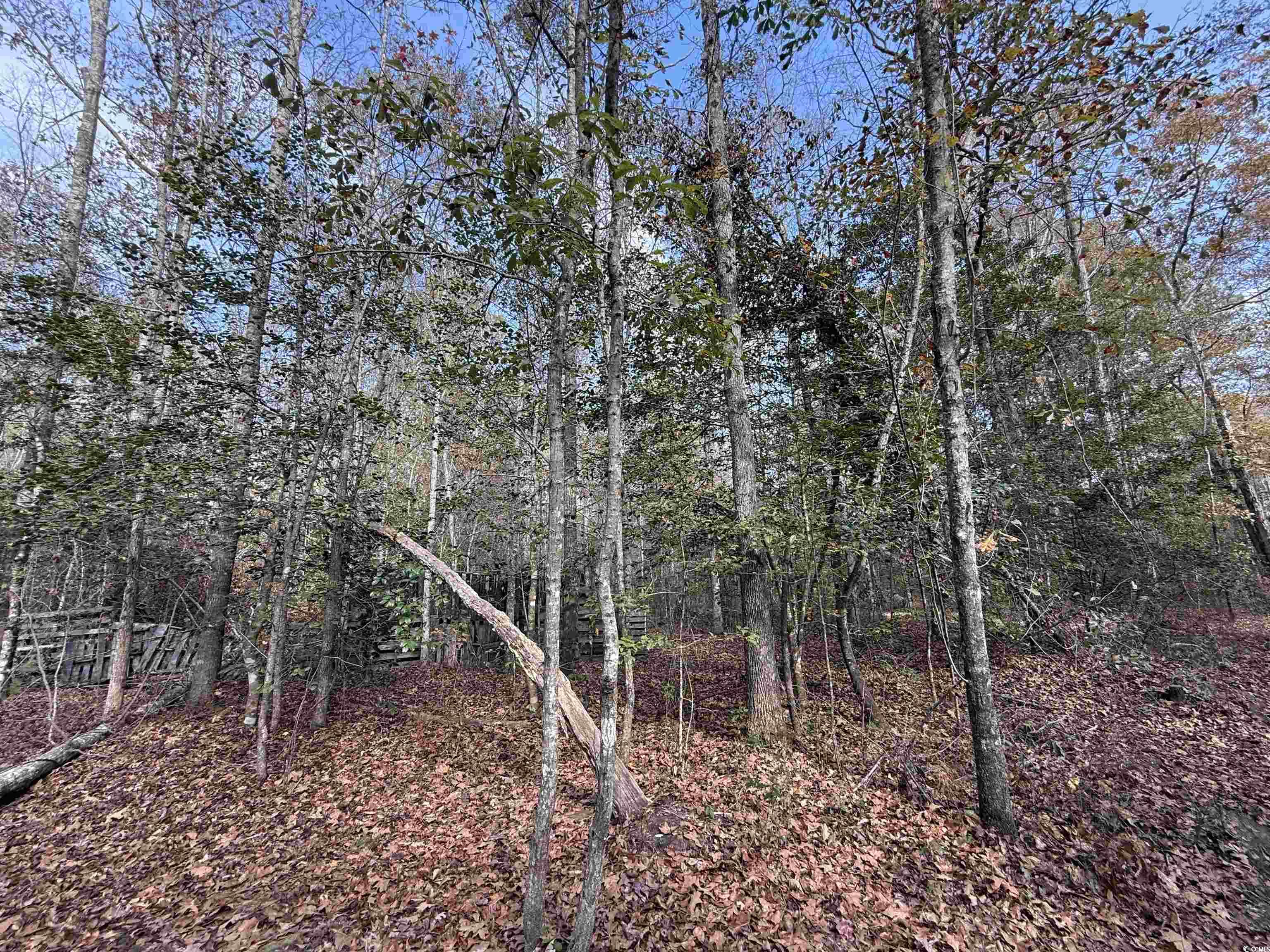 7262 N Brewington Rd. Property Photo 11