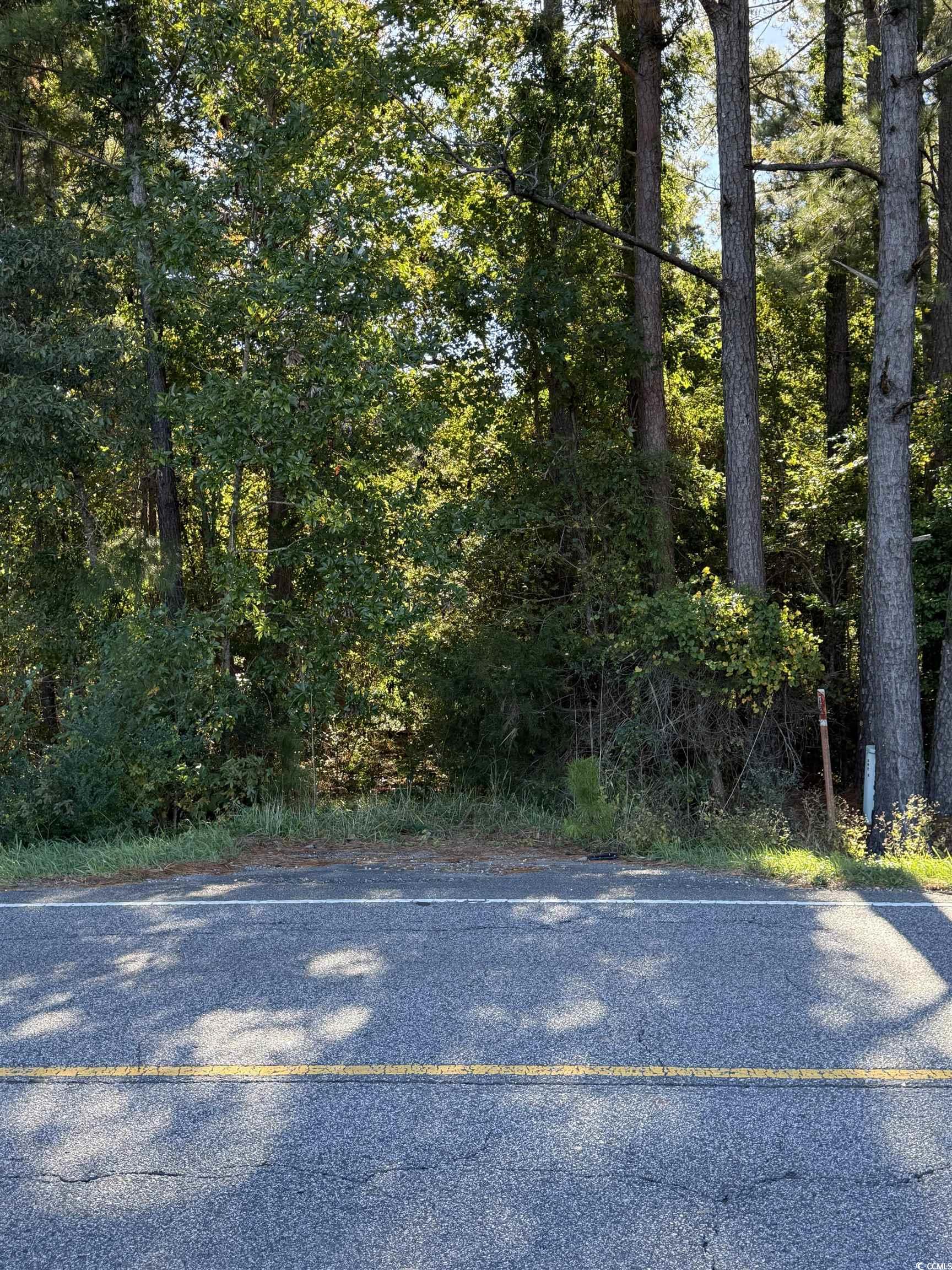 Highway 57 Property Photo 4