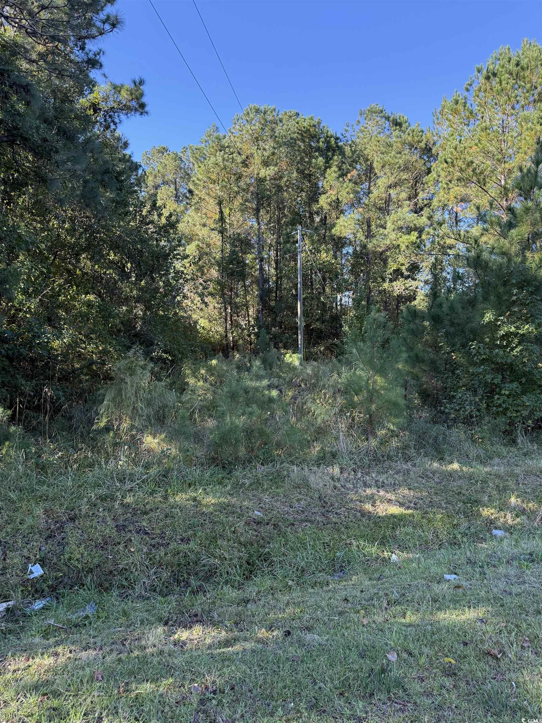 Highway 57 Property Photo 6