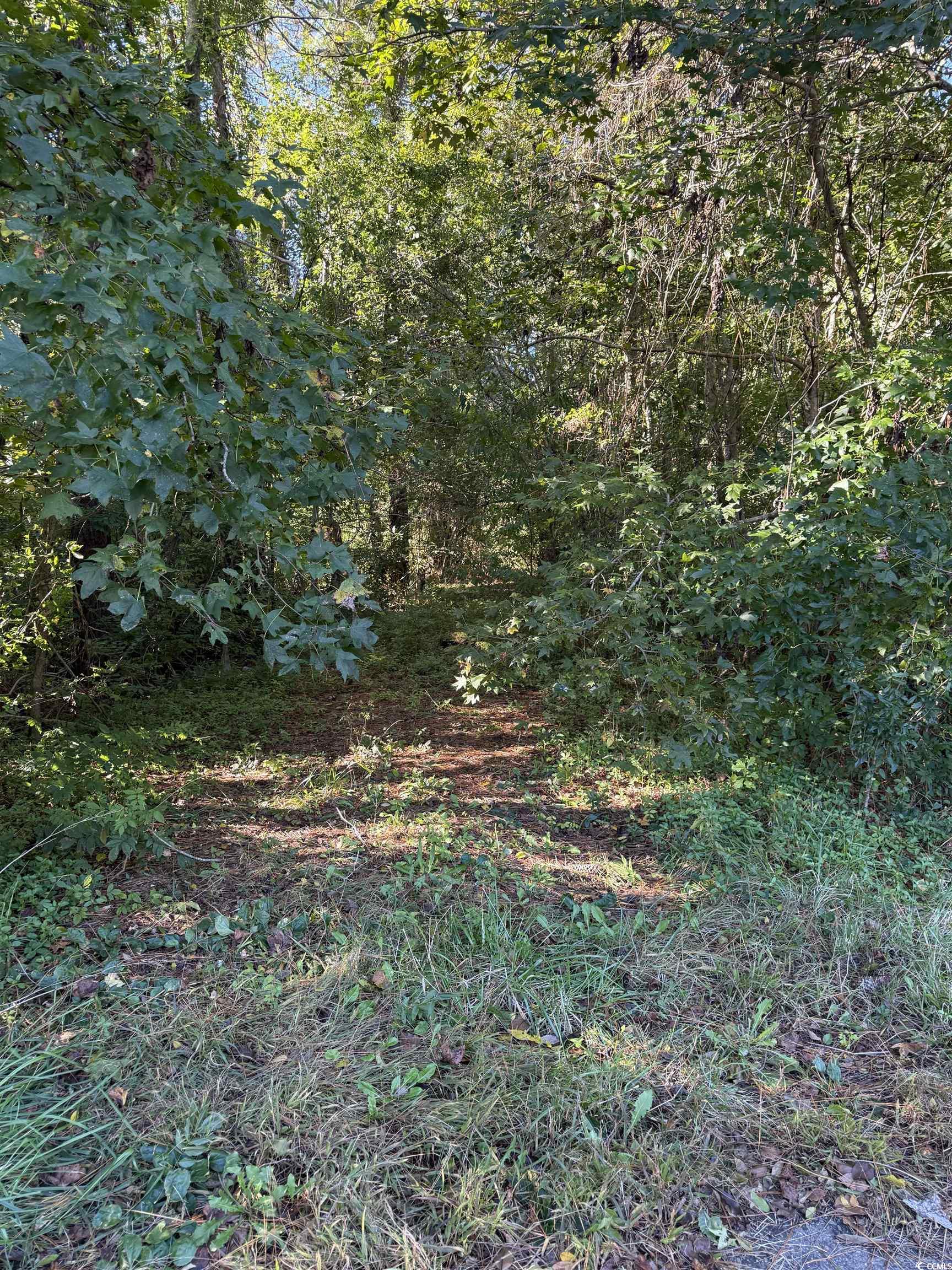 Highway 57 Property Photo 7