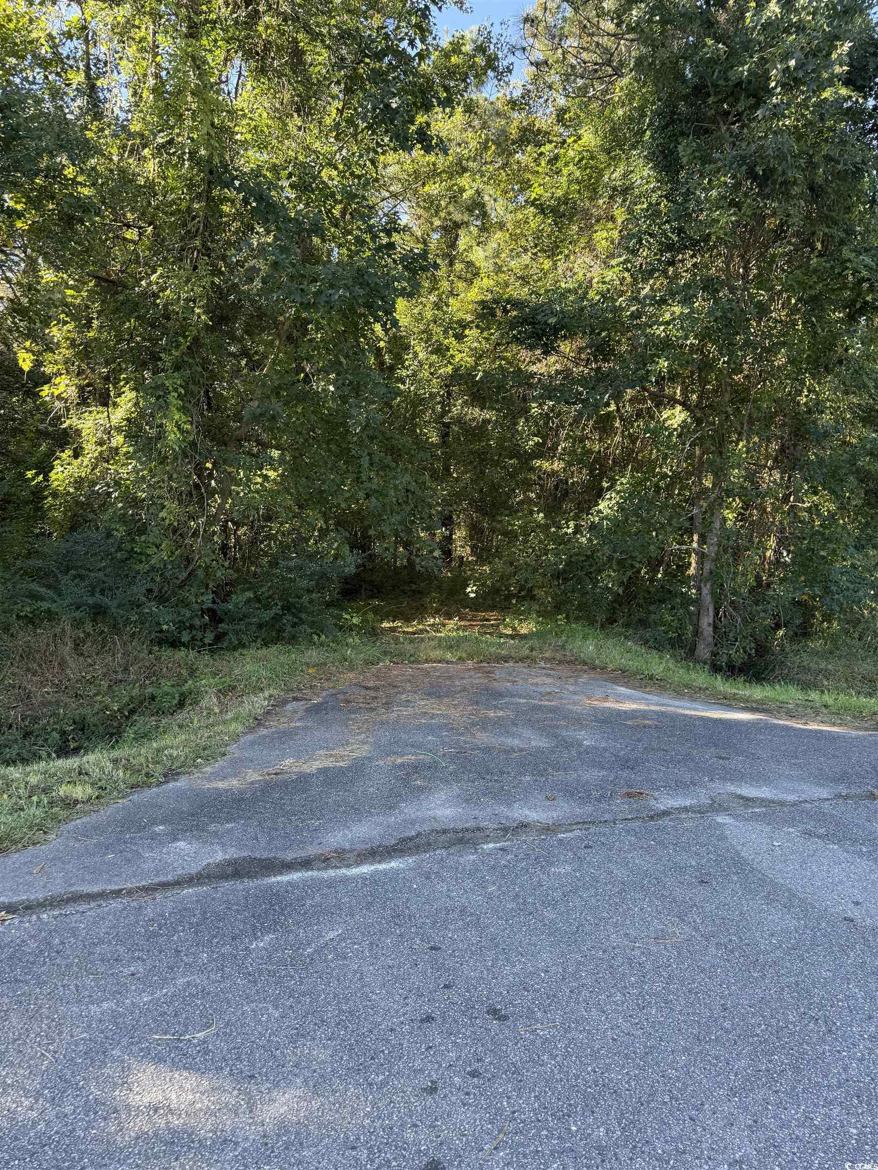 Highway 57 Property Photo 8