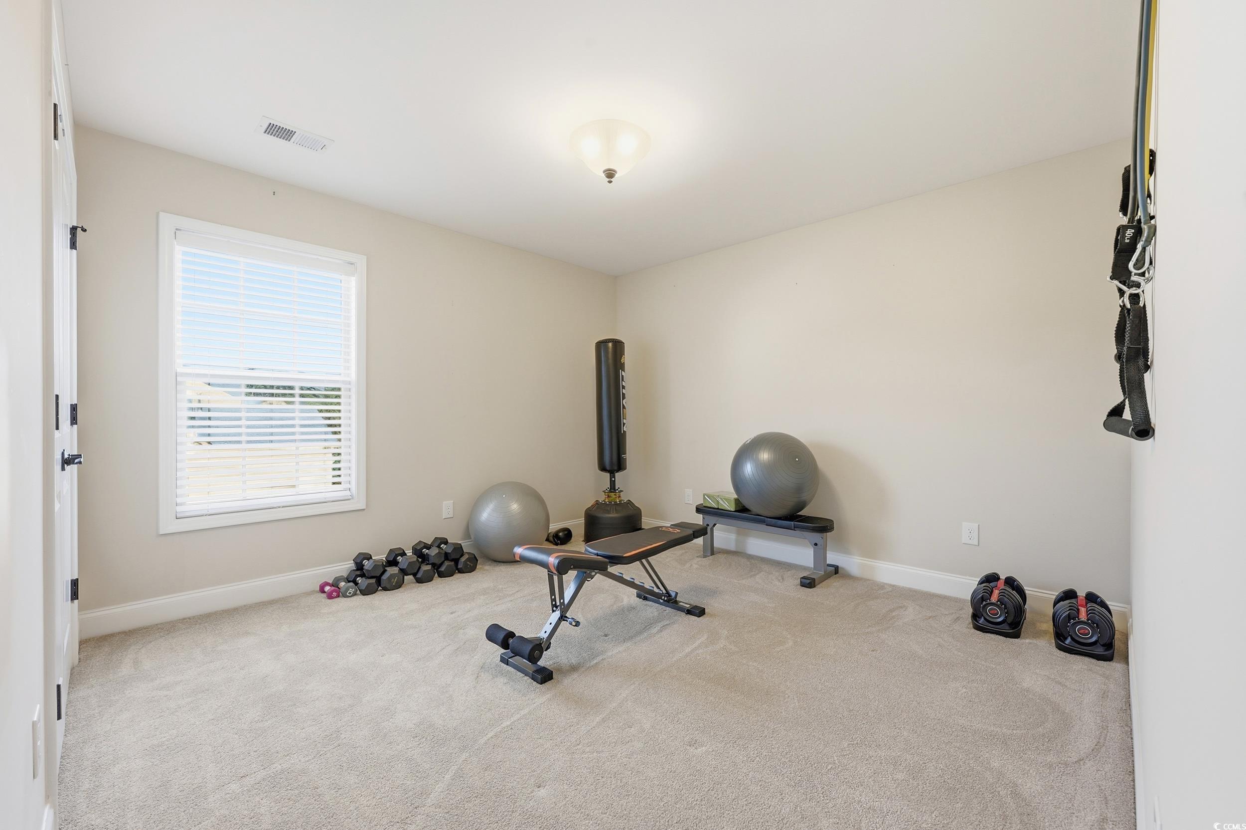 1161 Wyatt Ln. Property Photo 20