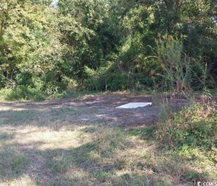 Lot 1 Davis Lane Property Photo 1
