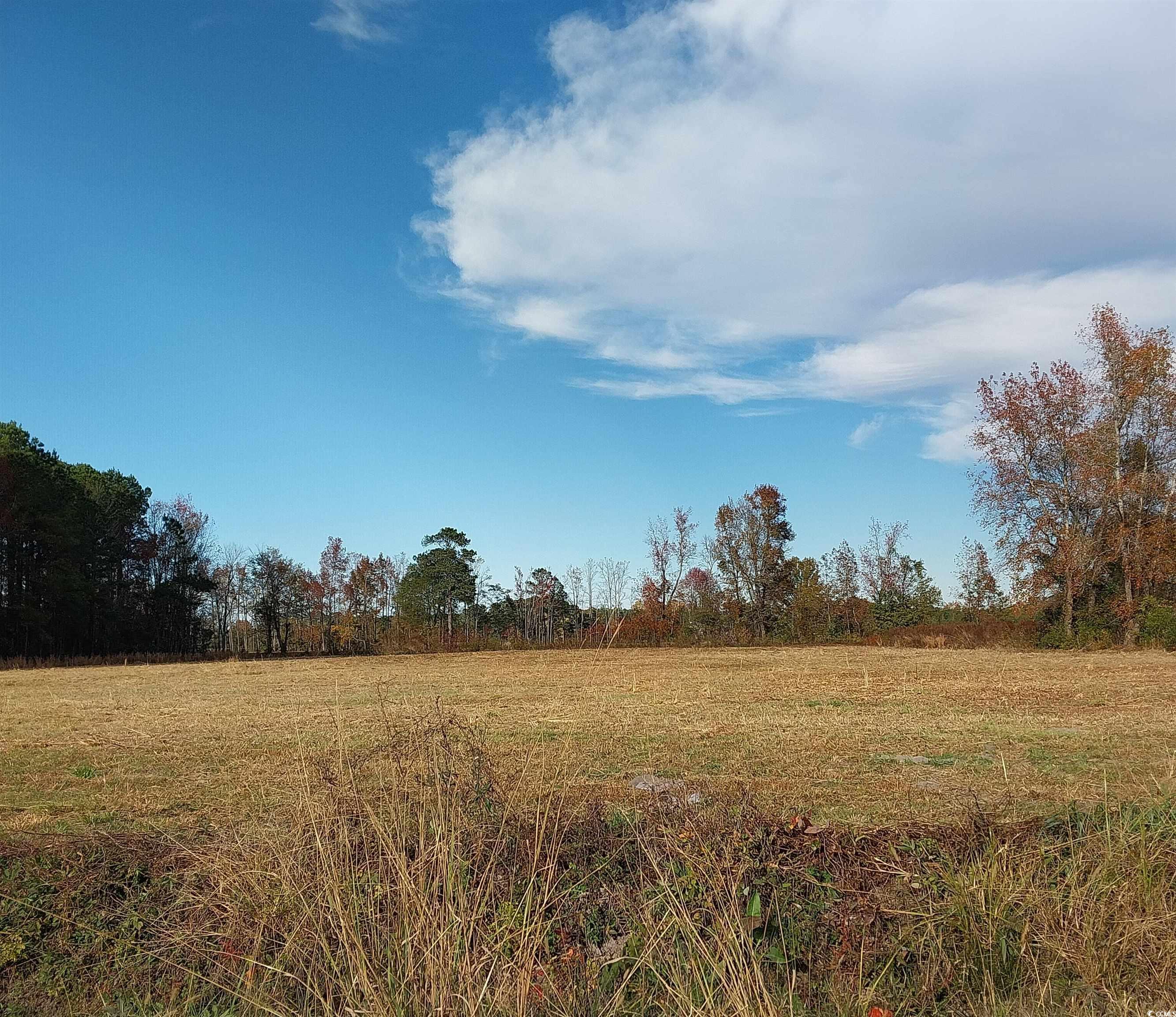 Lot 1 Davis Lane Property Photo 2