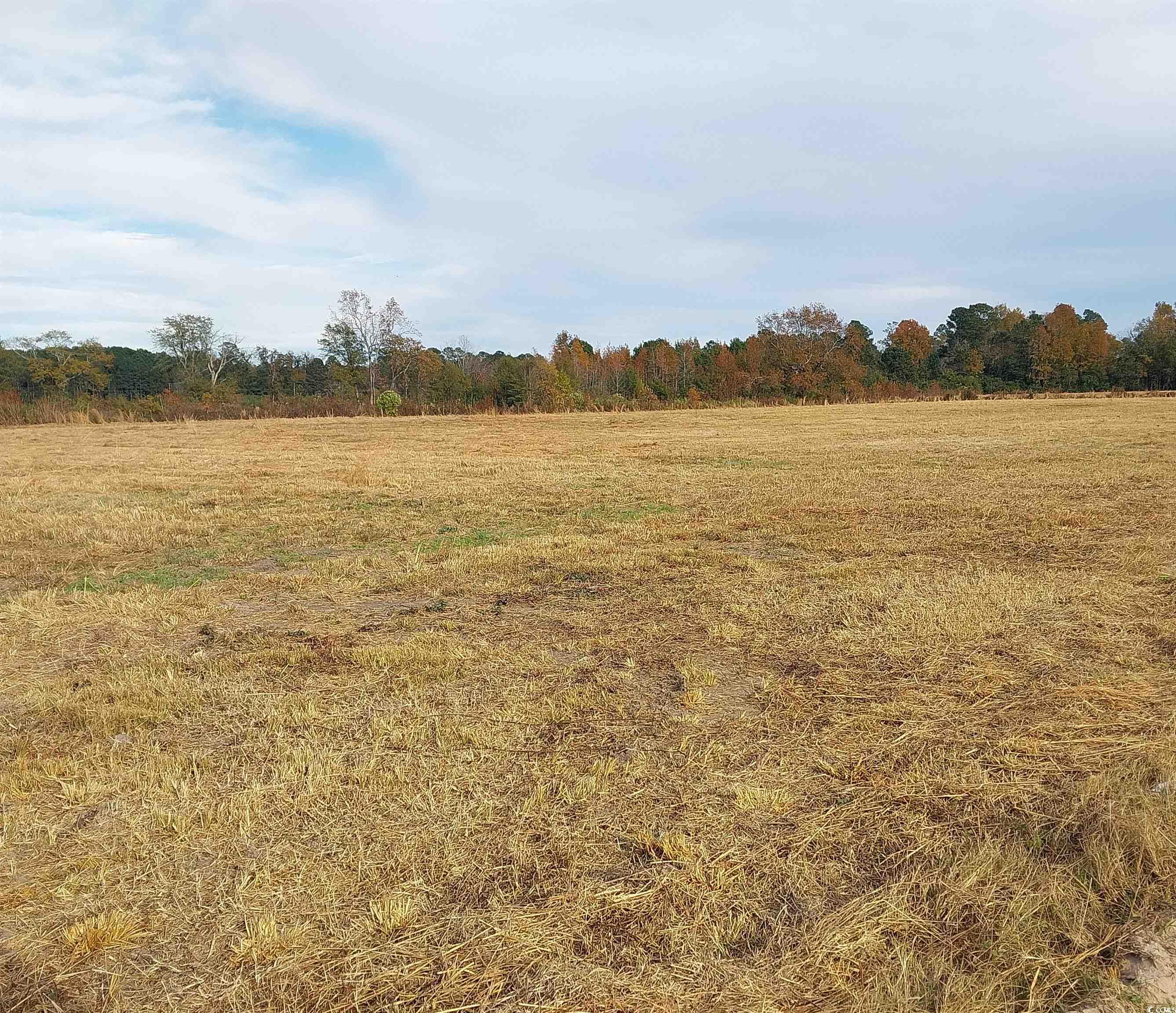 Lot 1 Davis Lane Property Photo 3