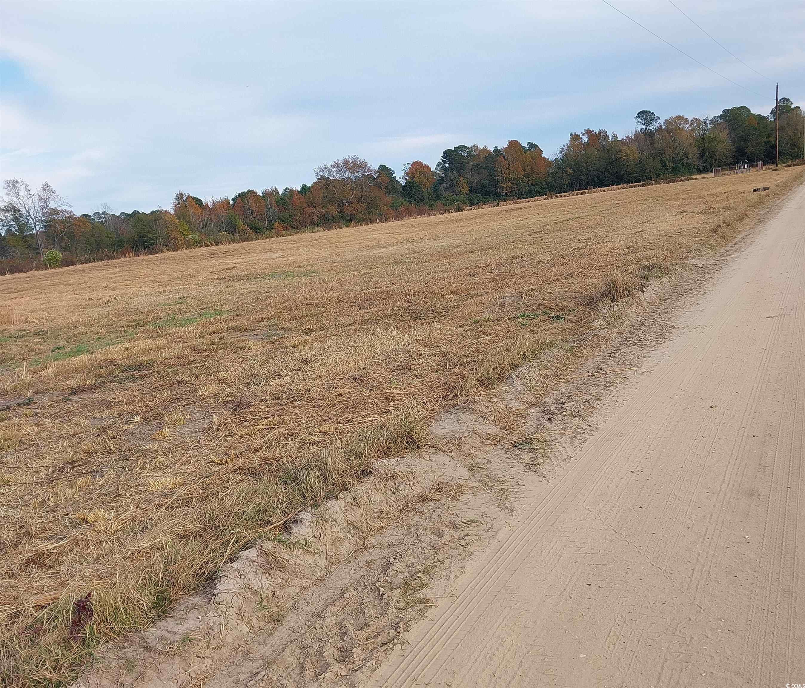 Lot 1 Davis Lane Property Photo 4