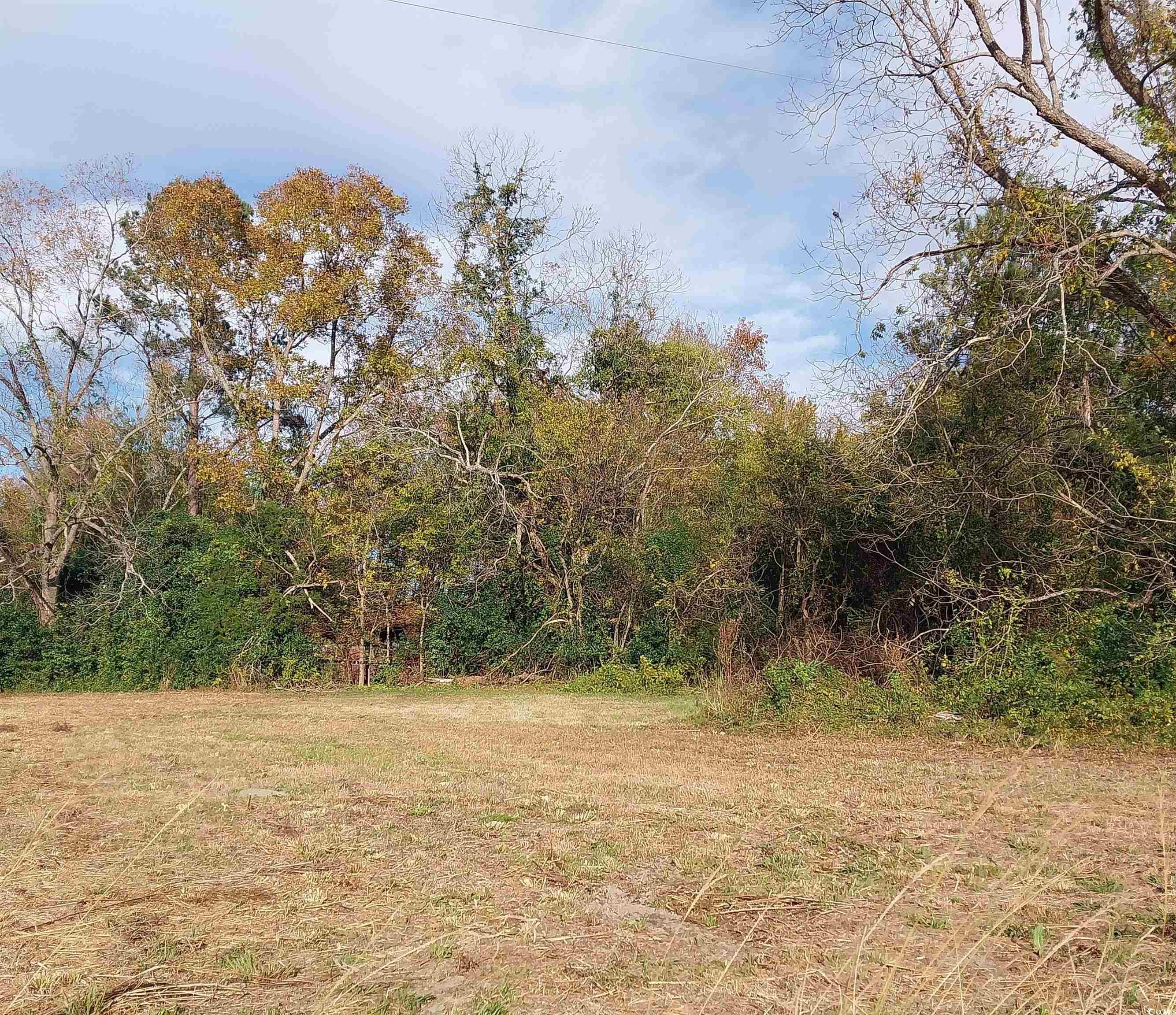 Lot 1 Davis Lane Property Photo 5