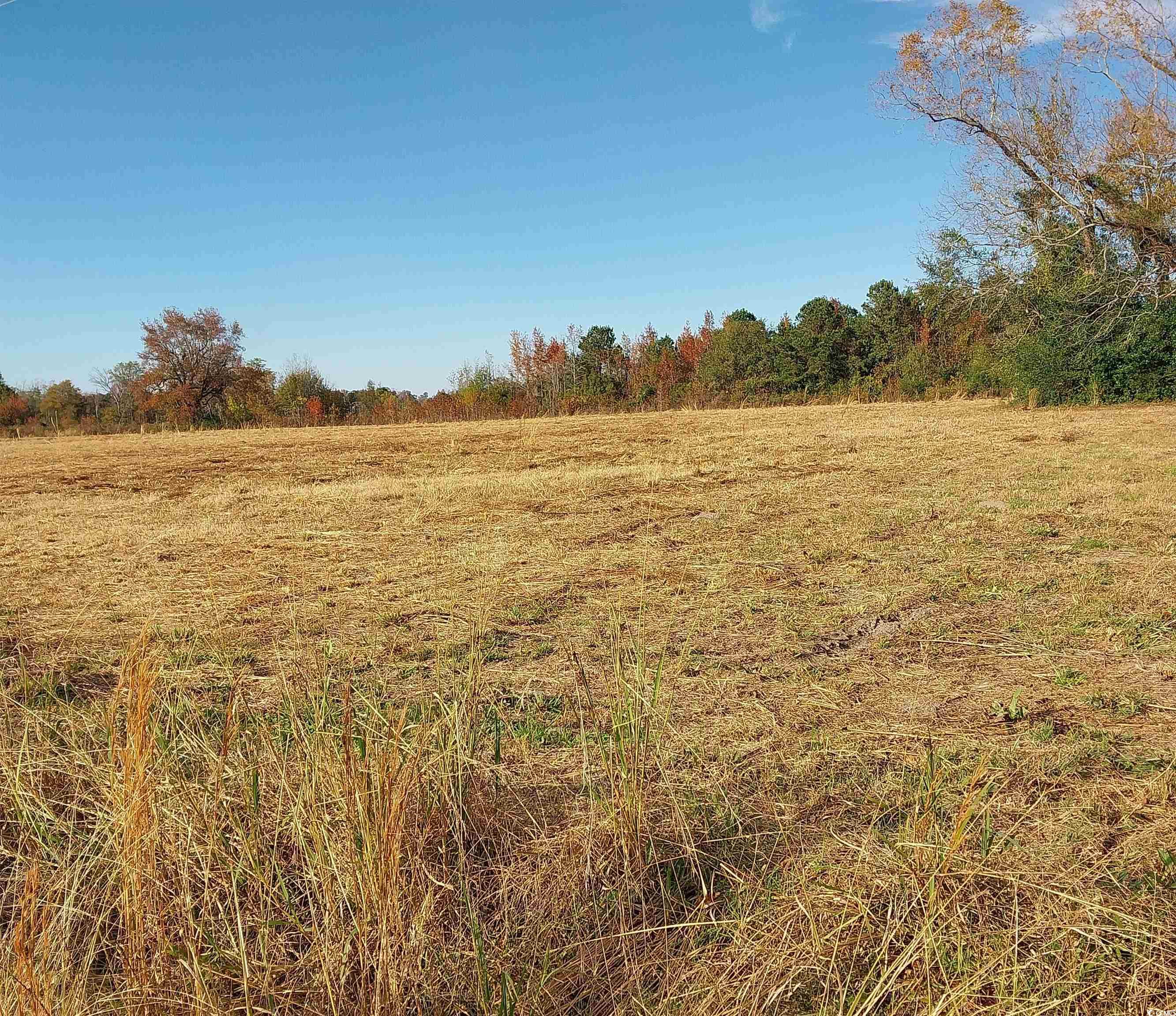 Lot 1 Davis Lane Property Photo 6