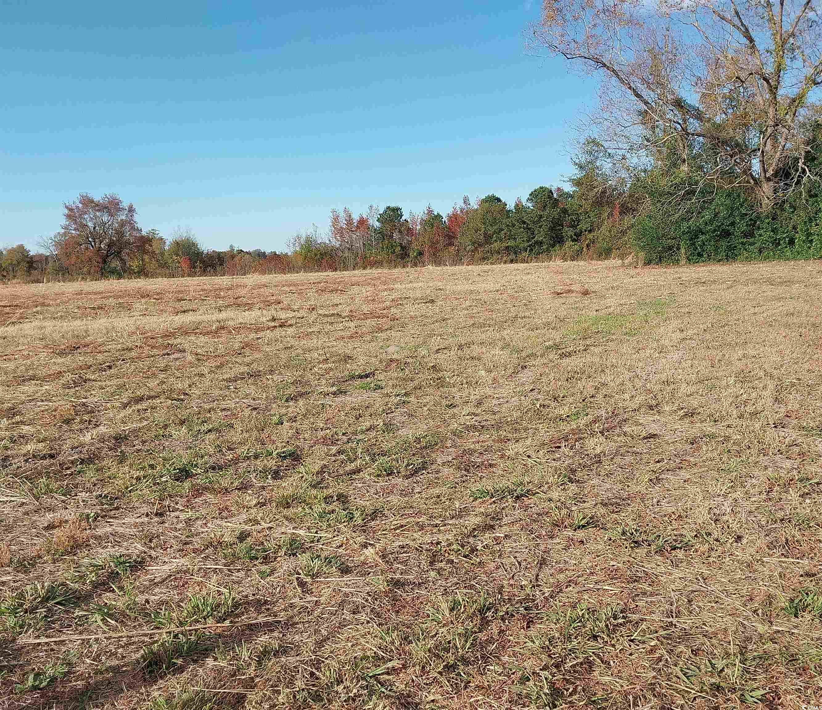 Lot 1 Davis Lane Property Photo 7