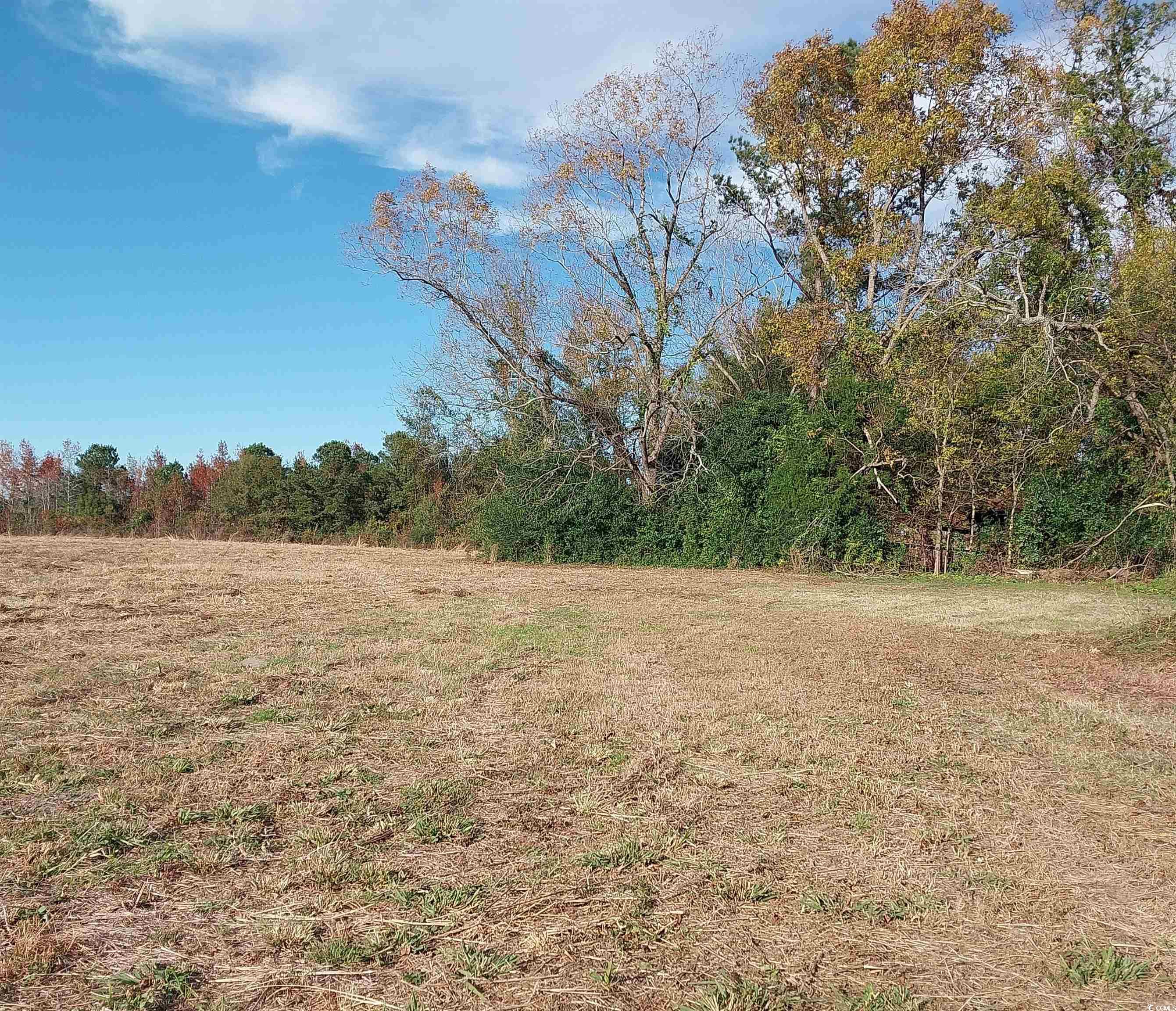 Lot 1 Davis Lane Property Photo 8