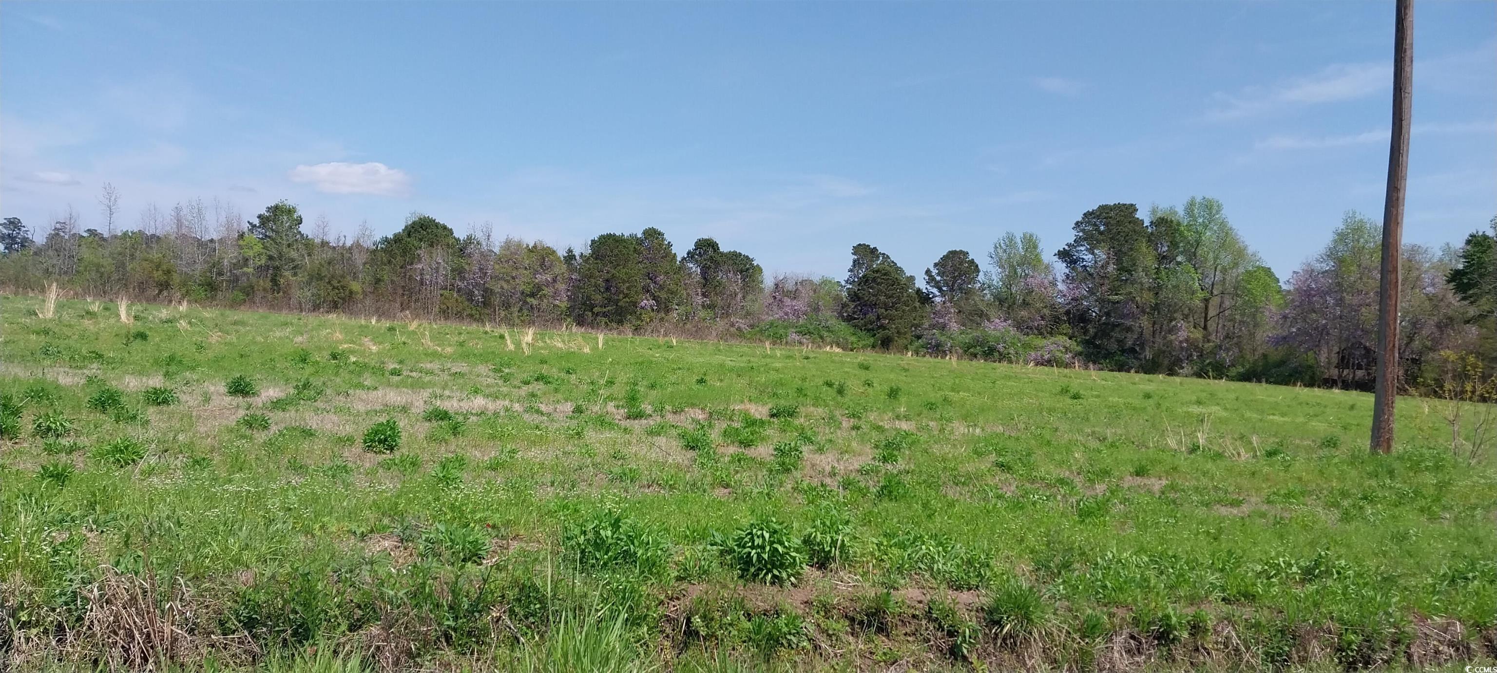 1b Davis Lane Property Photo 1