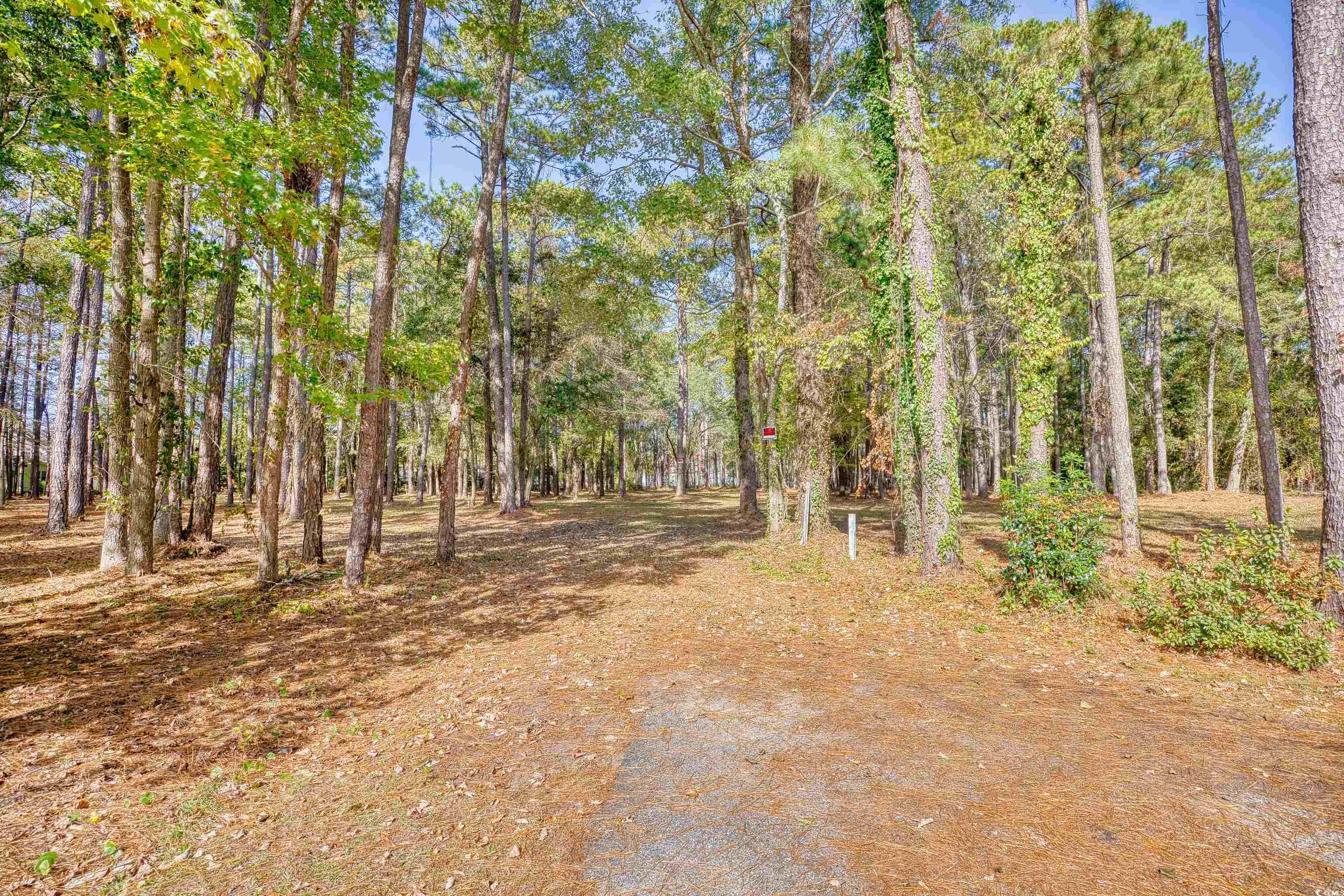 4250 Lilac Rd. Property Photo 5