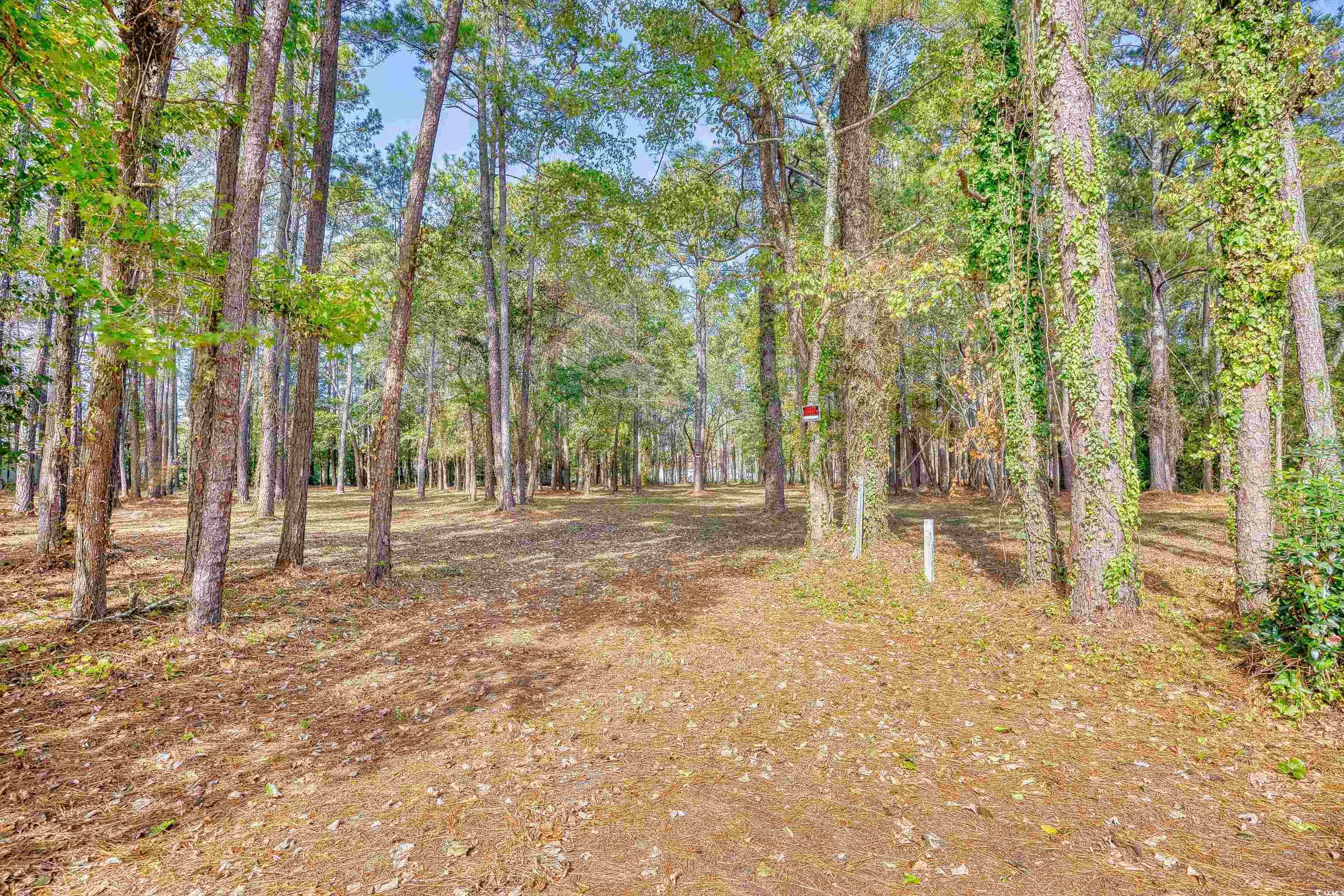 4250 Lilac Rd. Property Photo 6