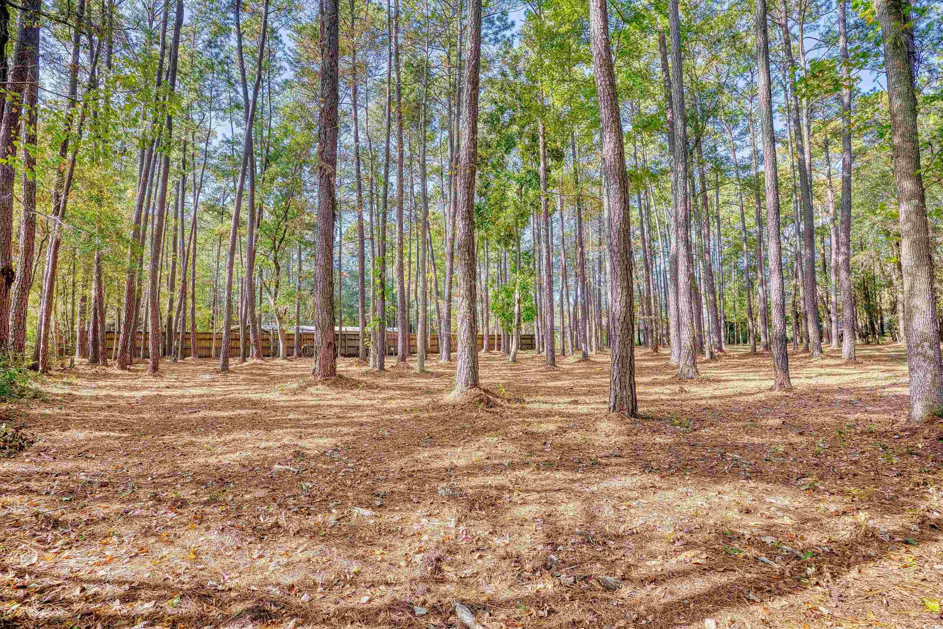 4250 Lilac Rd. Property Photo 12
