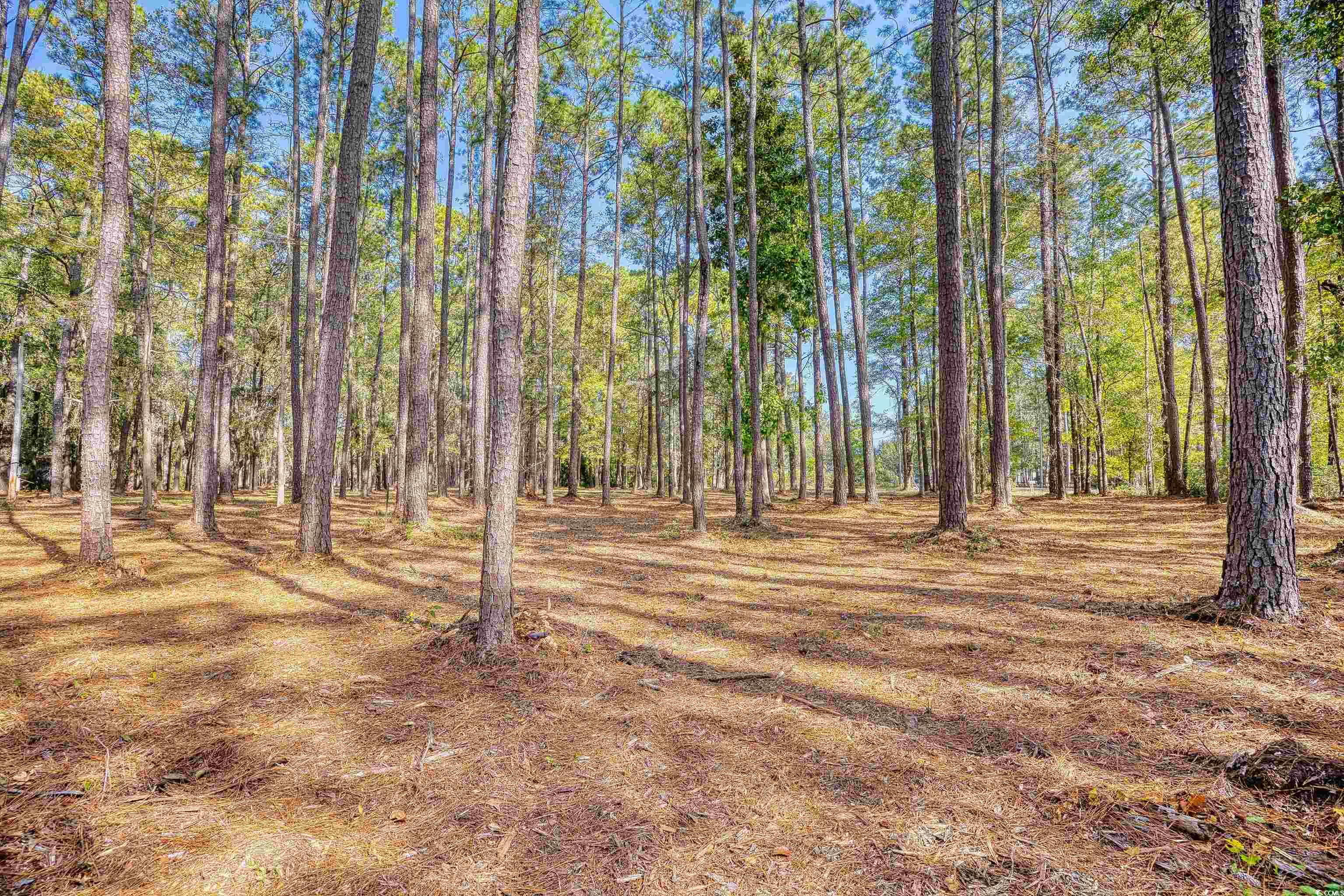 4250 Lilac Rd. Property Photo 14