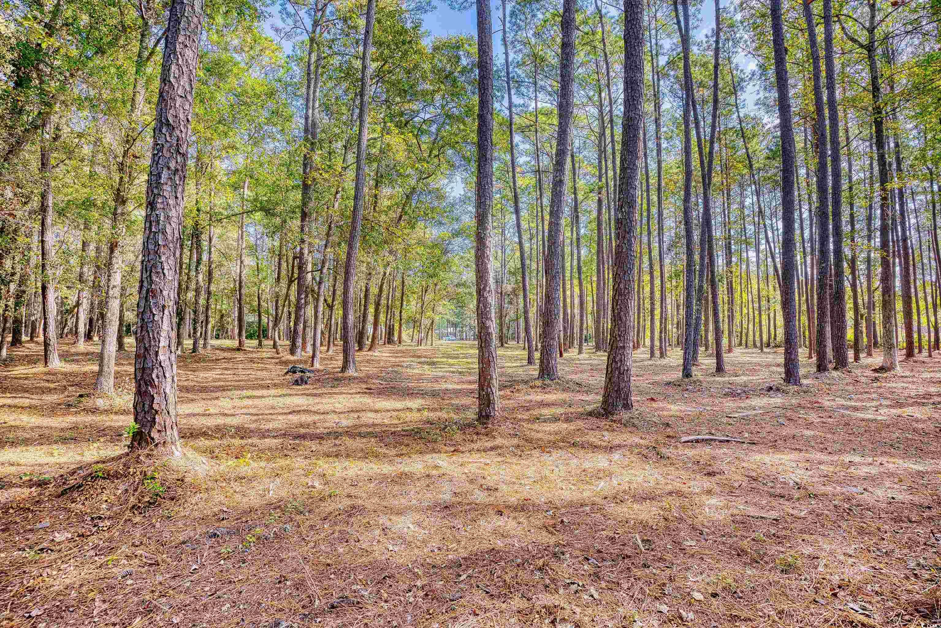 4250 Lilac Rd. Property Photo 16