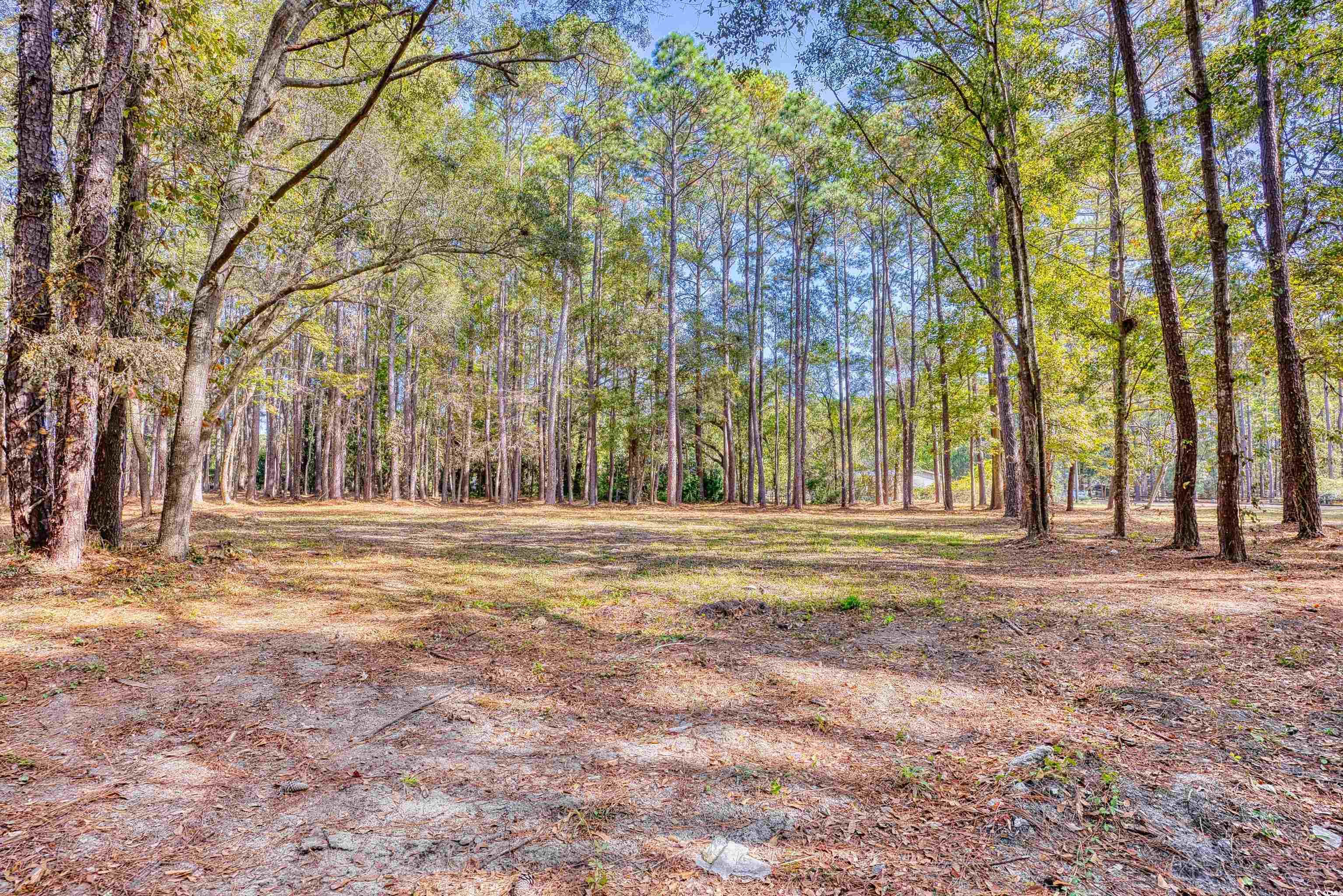 4250 Lilac Rd. Property Photo 21