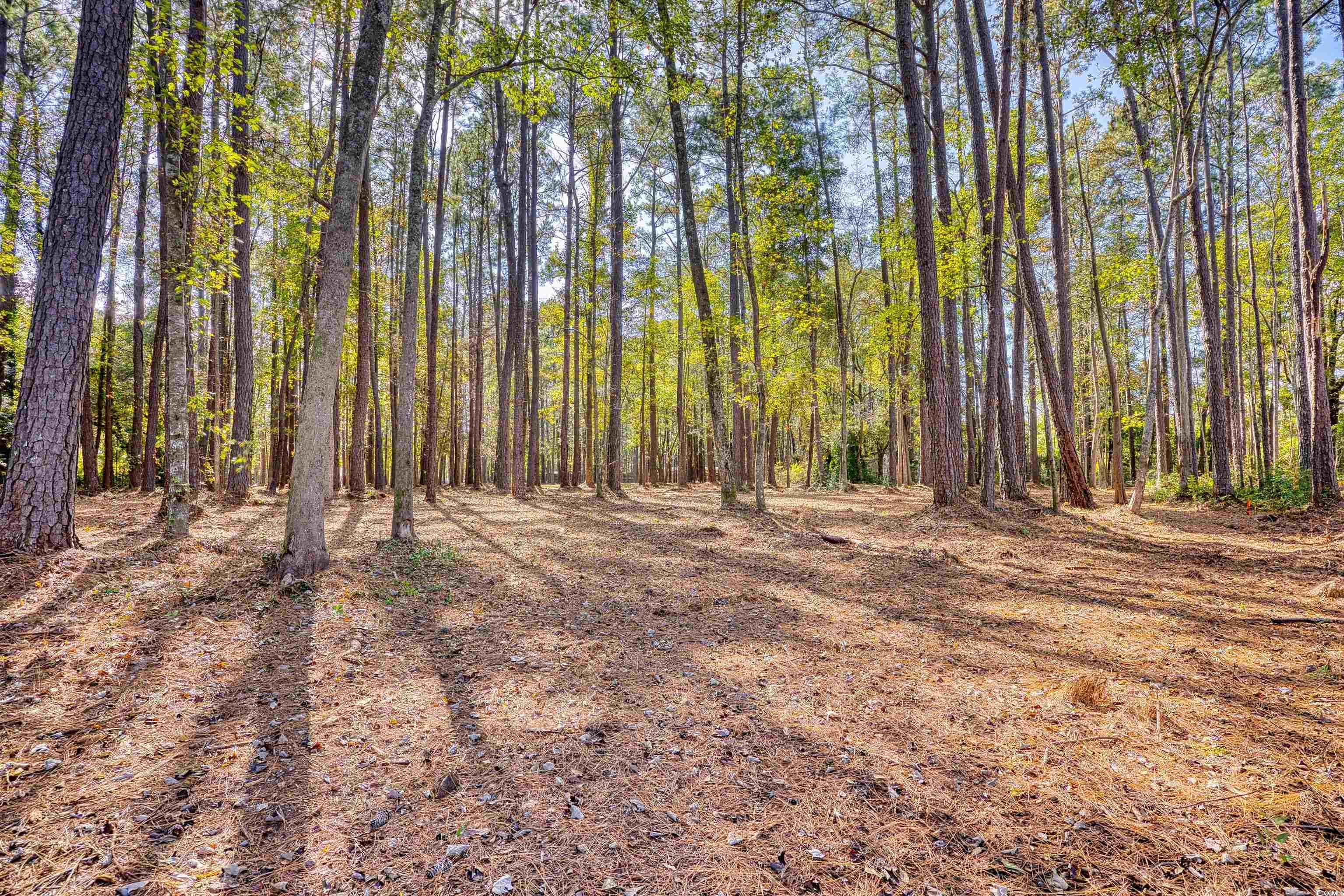 4250 Lilac Rd. Property Photo 23