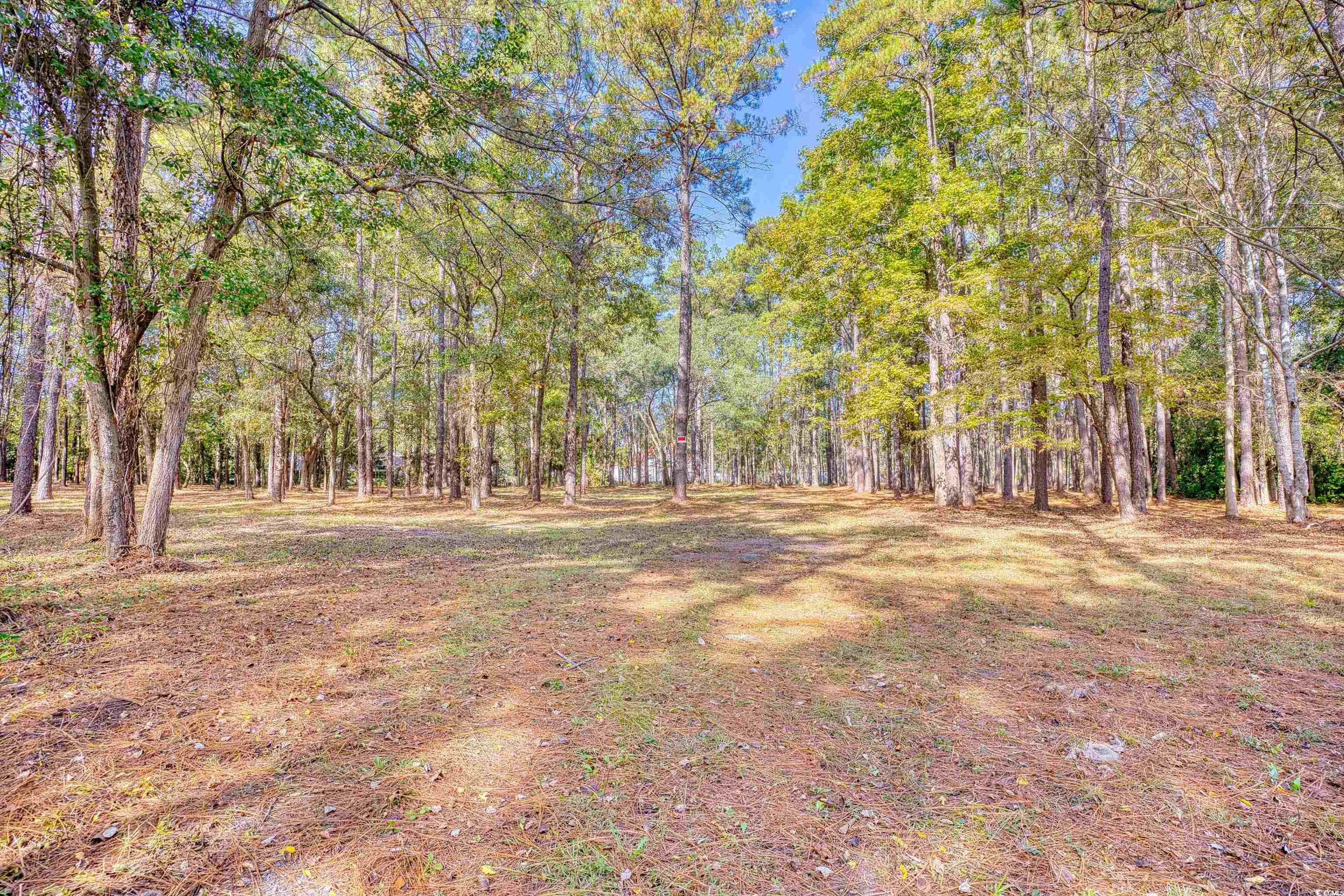 4250 Lilac Rd. Property Photo 31