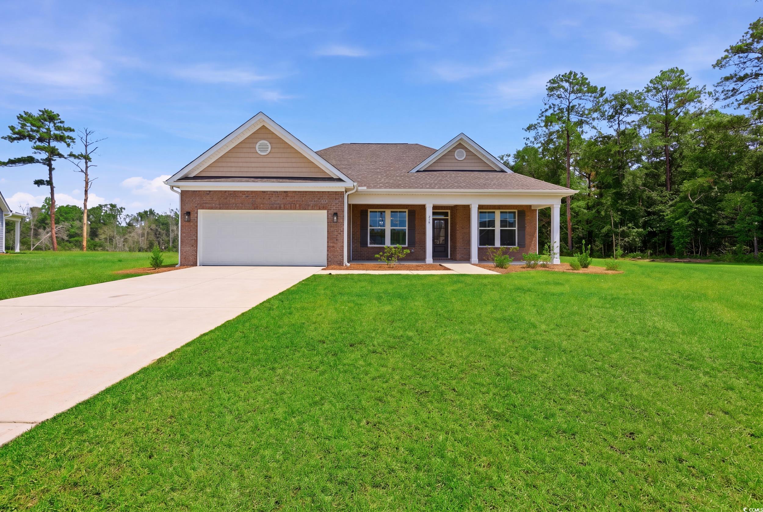 216 Blue Wing Court Property Photo 1