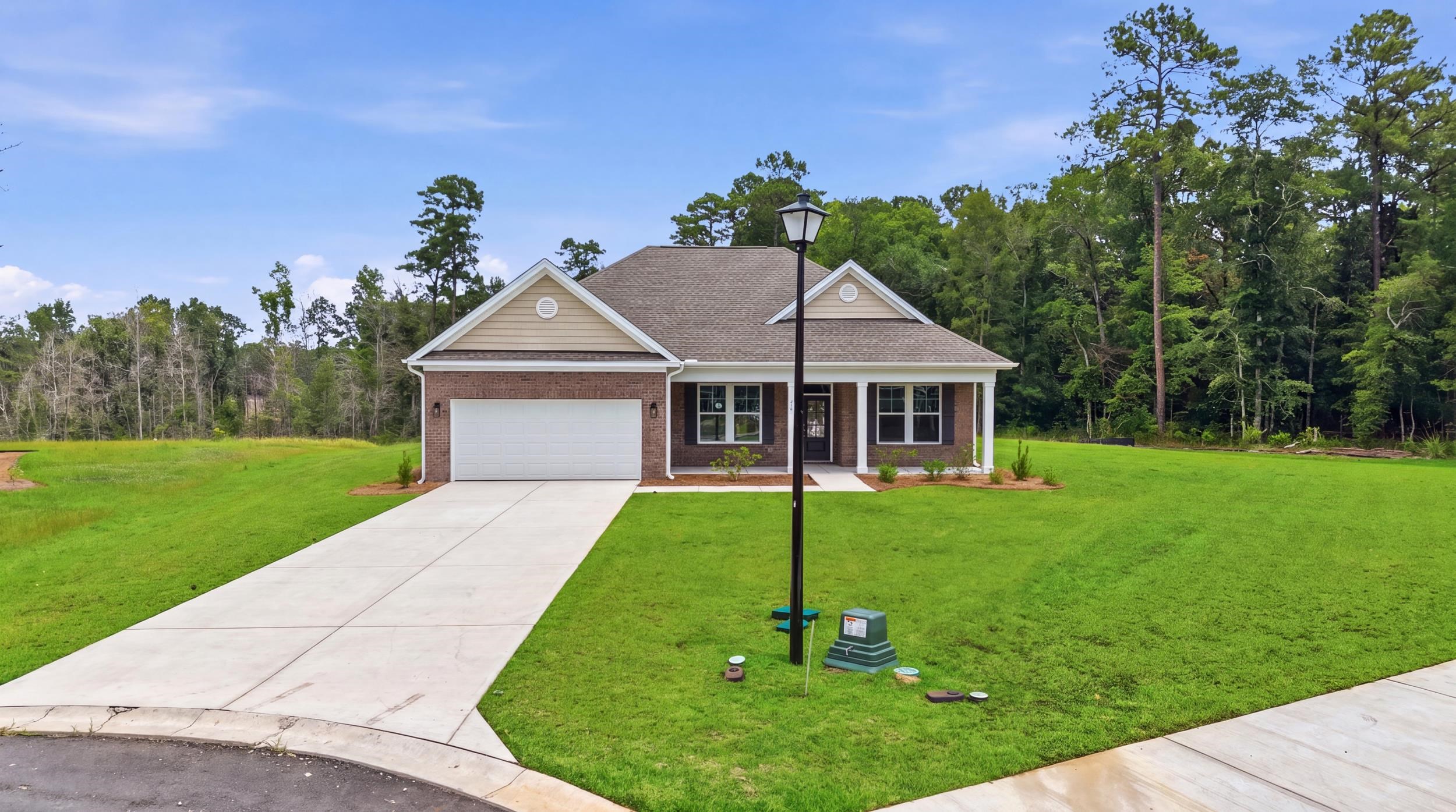 216 Blue Wing Court Property Photo 2