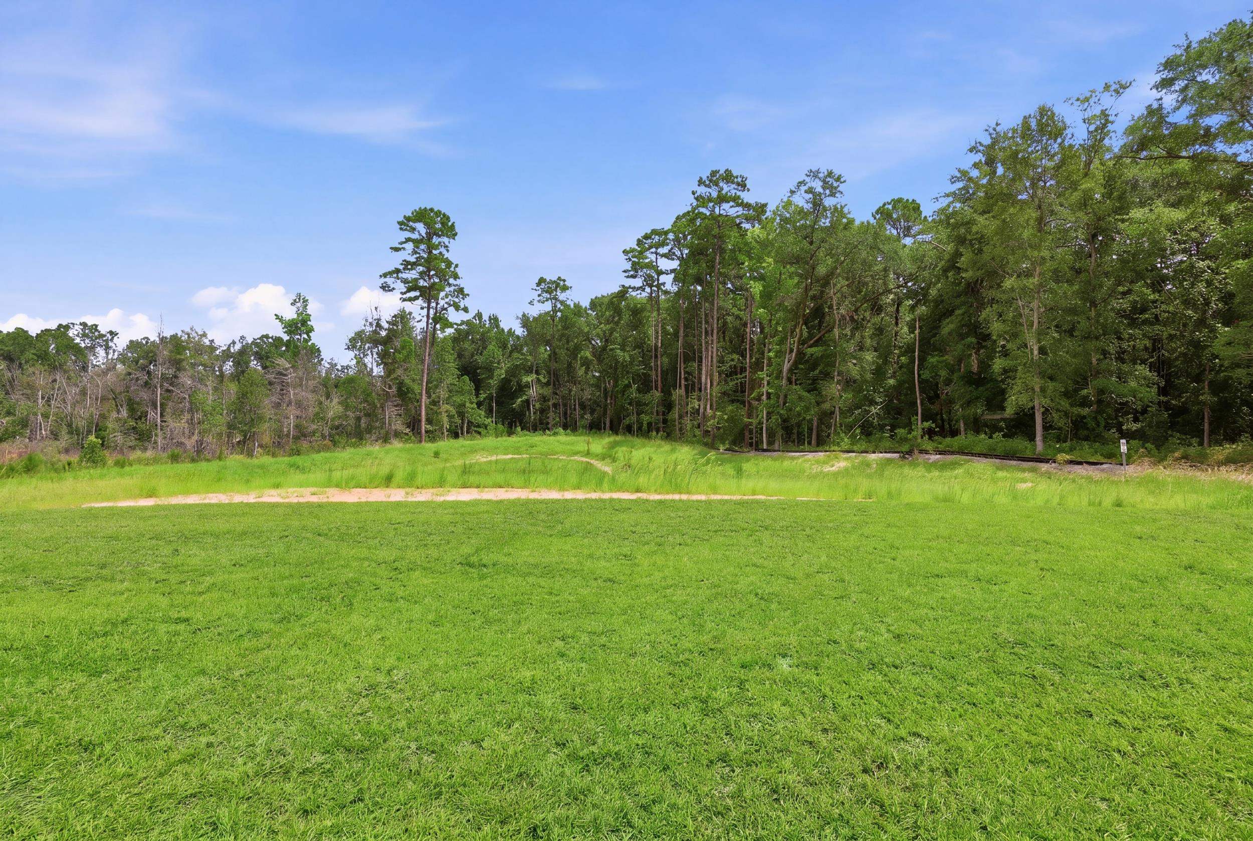 216 Blue Wing Court Property Photo 25