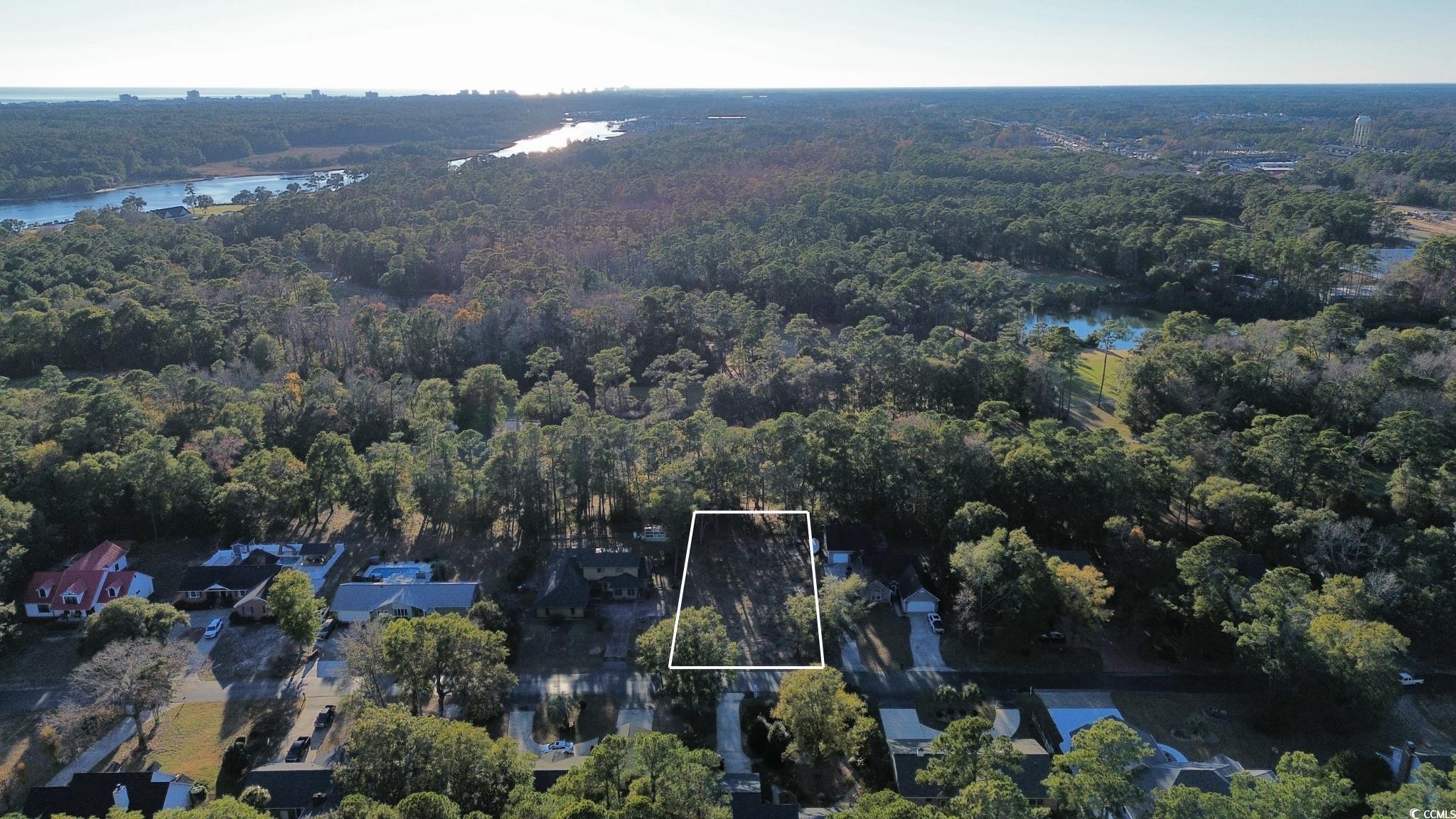 Tbd Live Oak Rd. Property Photo 3