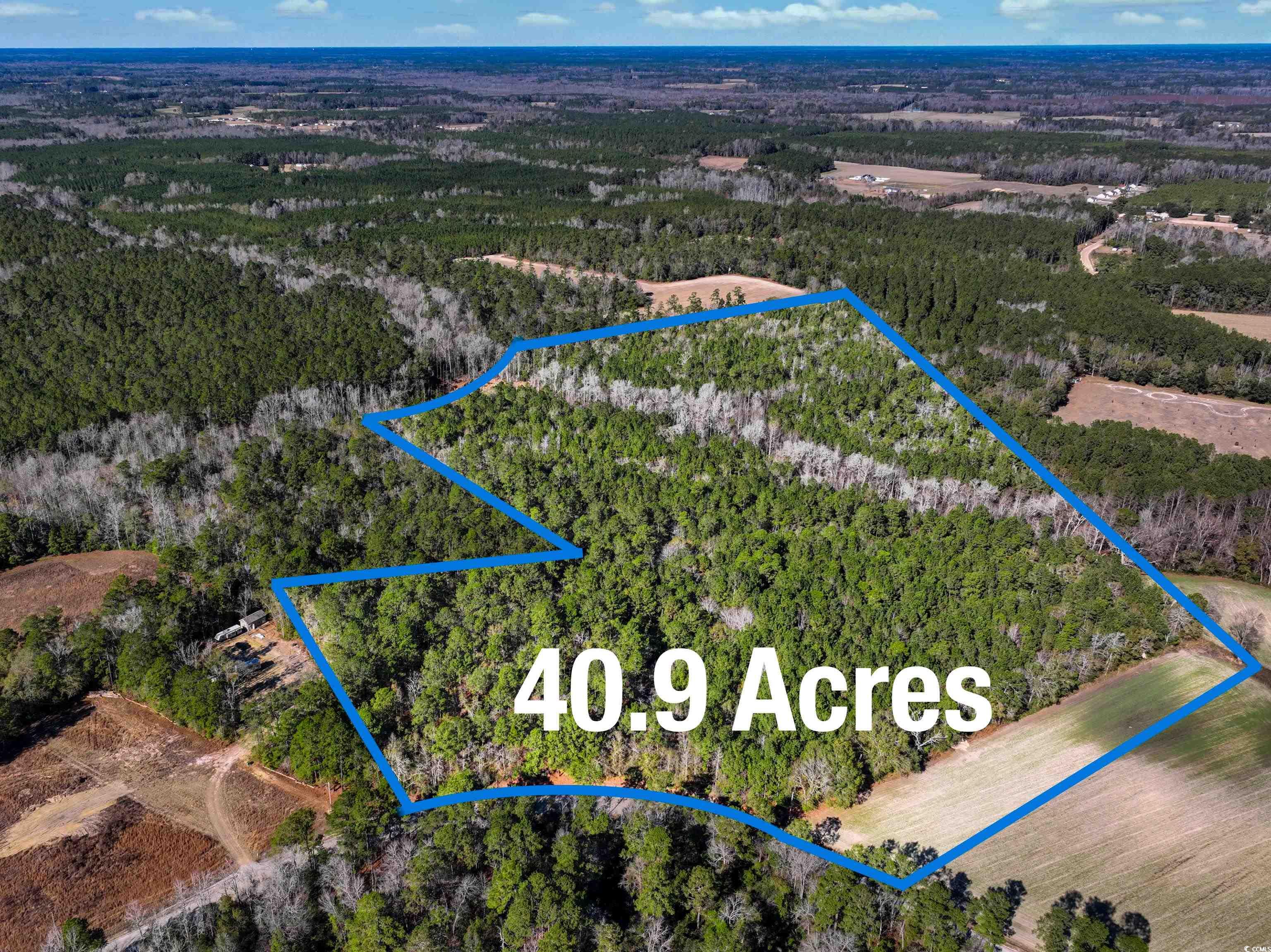 Tbd Sand Hill Bay Rd. Property Photo 1