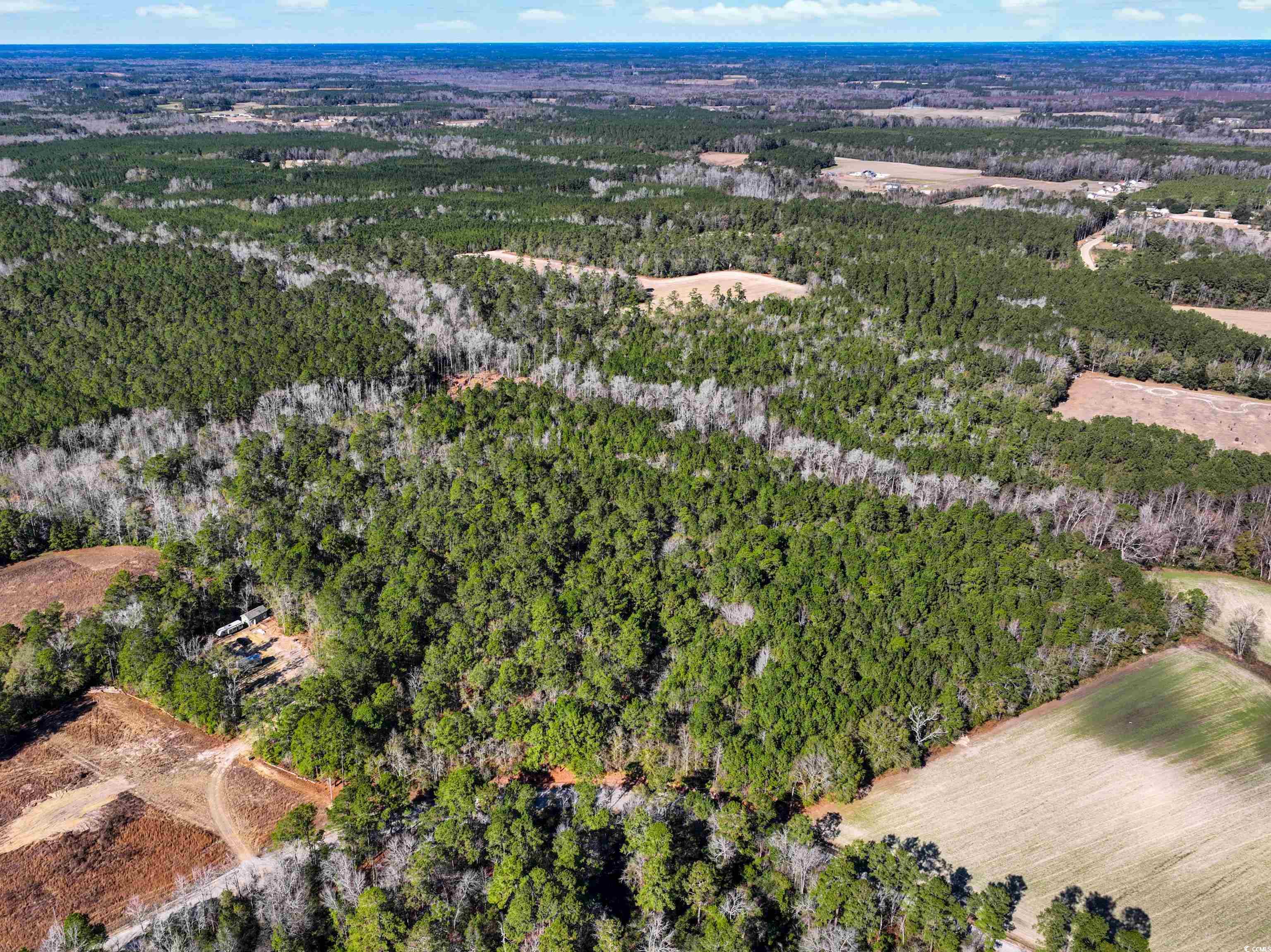 Tbd Sand Hill Bay Rd. Property Photo 2