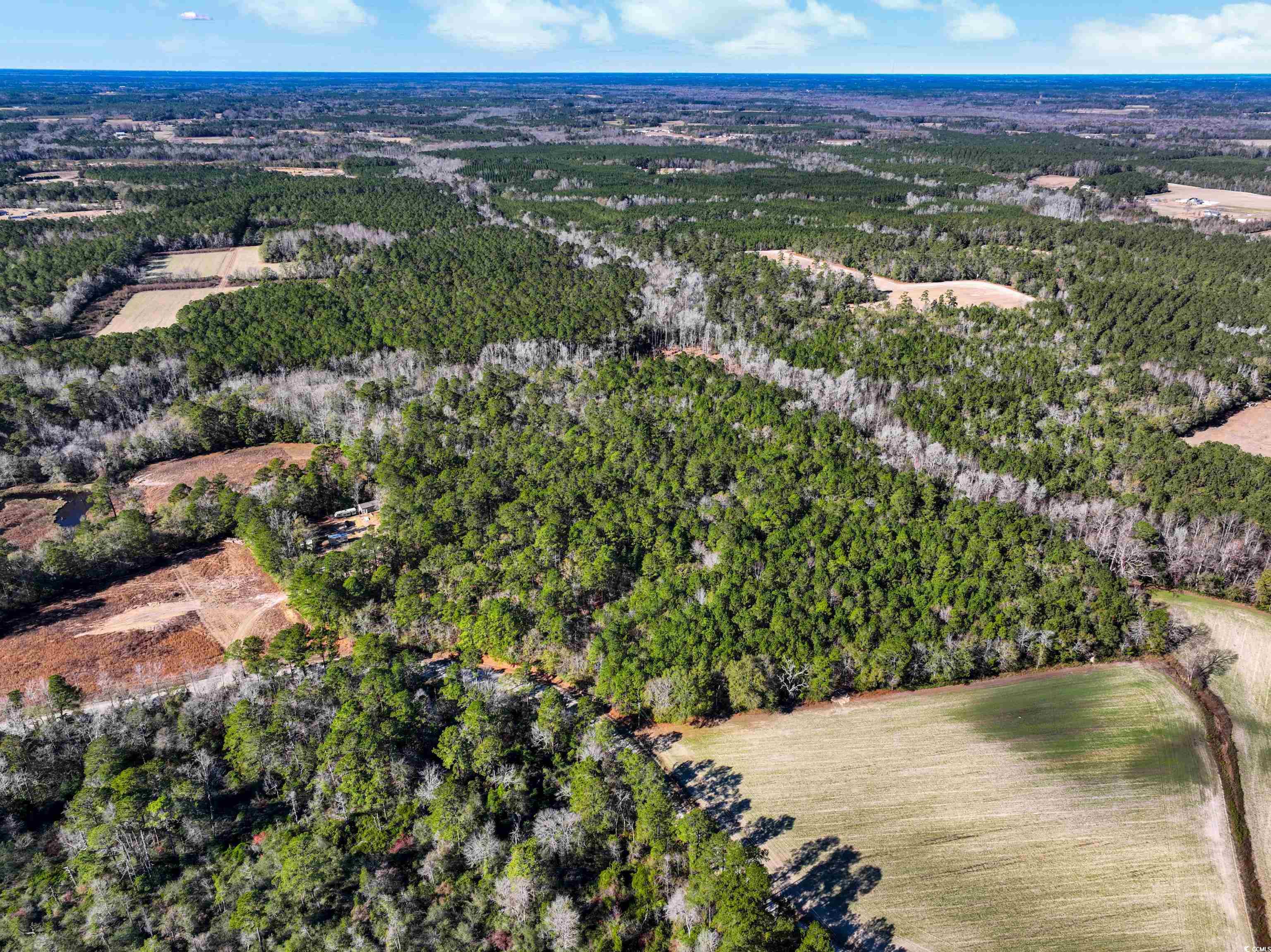 Tbd Sand Hill Bay Rd. Property Photo 4