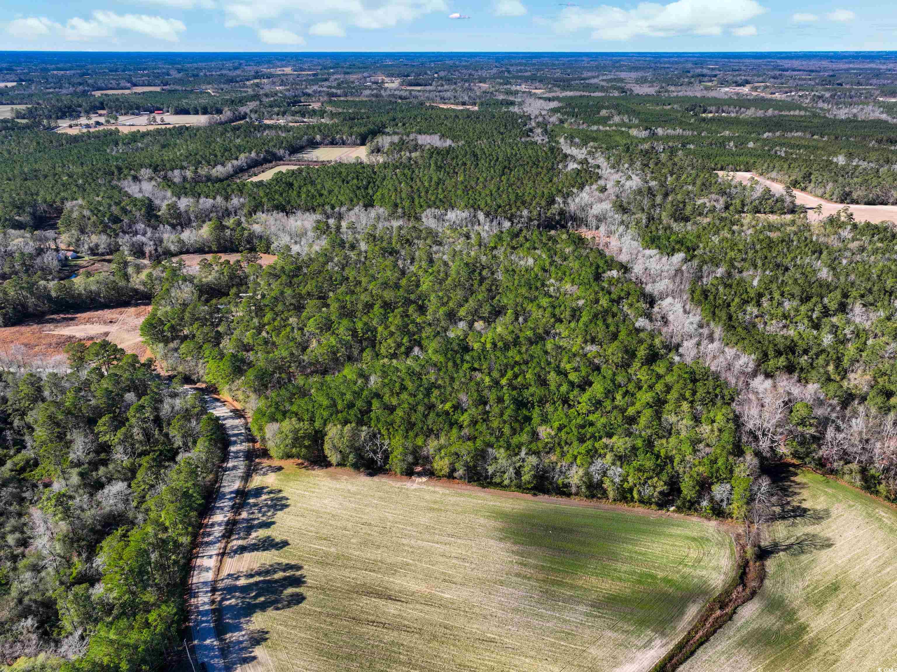 Tbd Sand Hill Bay Rd. Property Photo 5