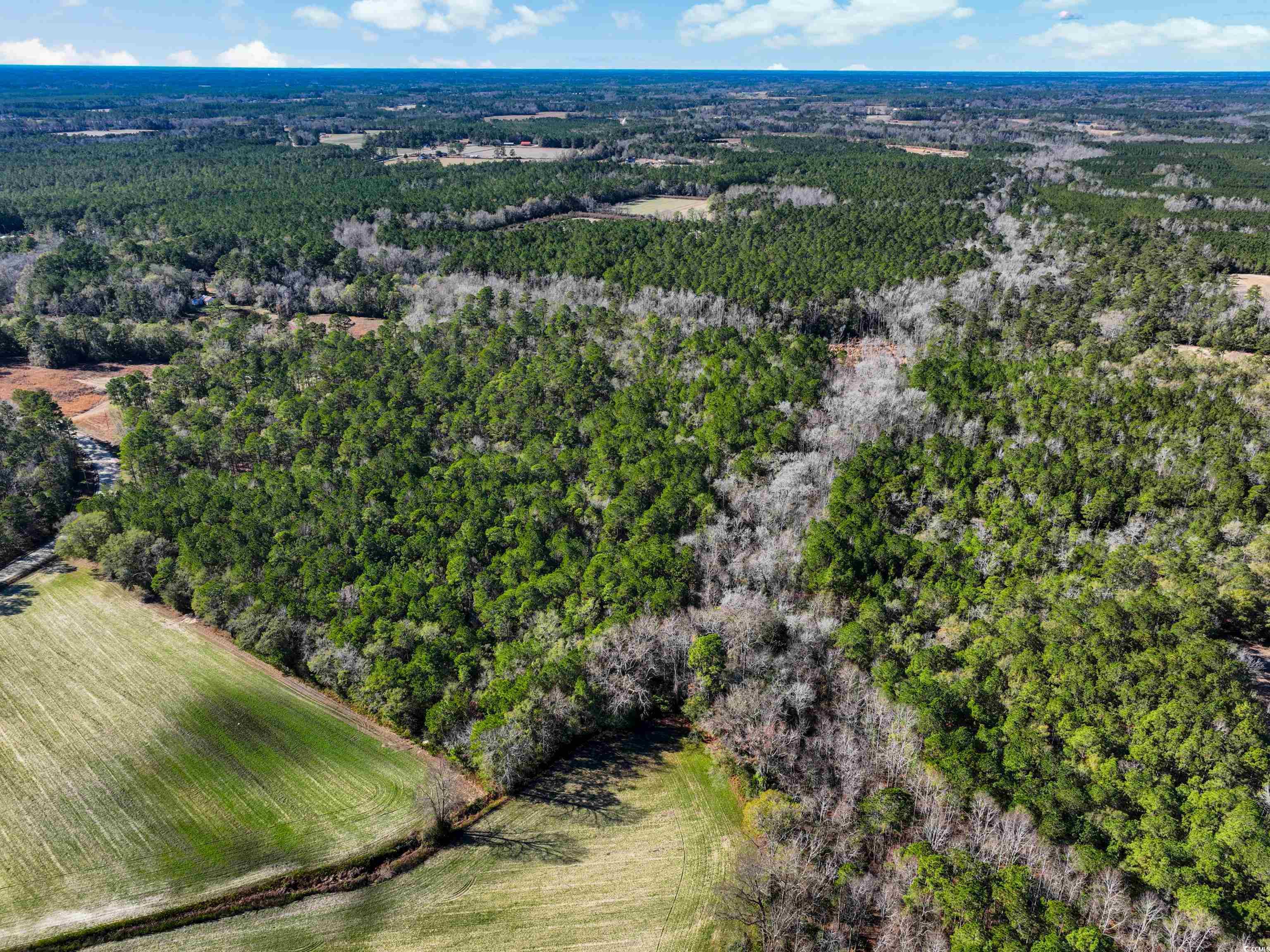 Tbd Sand Hill Bay Rd. Property Photo 6