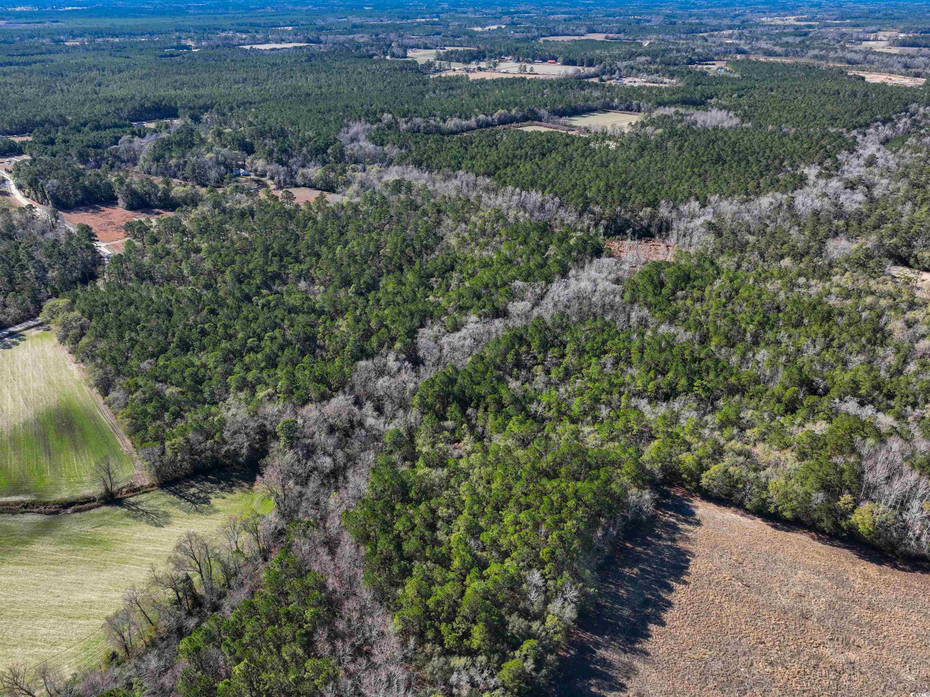 Tbd Sand Hill Bay Rd. Property Photo 7