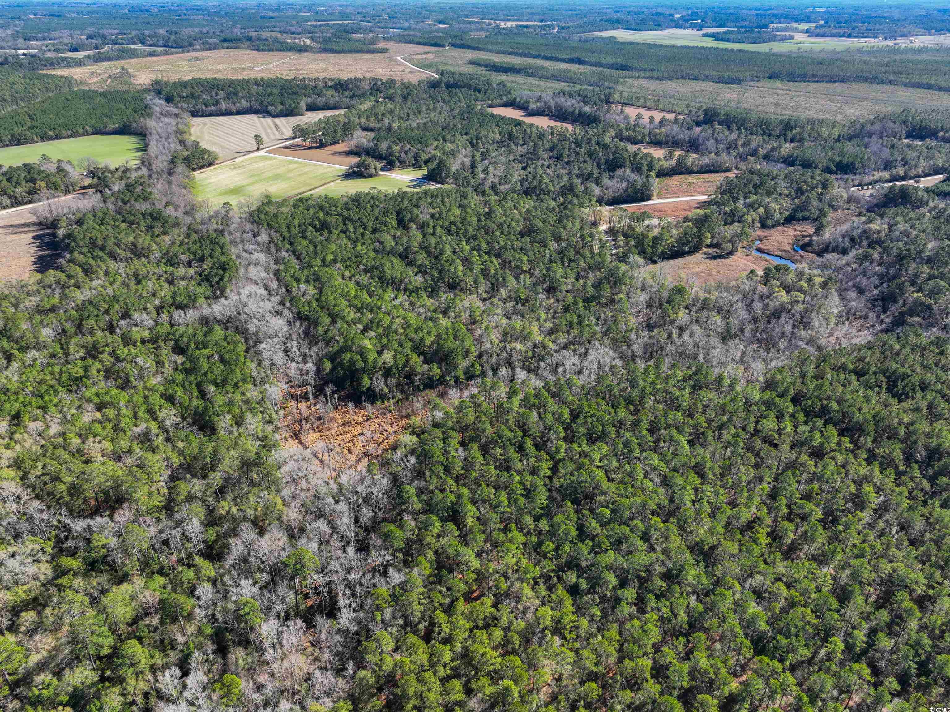 Tbd Sand Hill Bay Rd. Property Photo 8