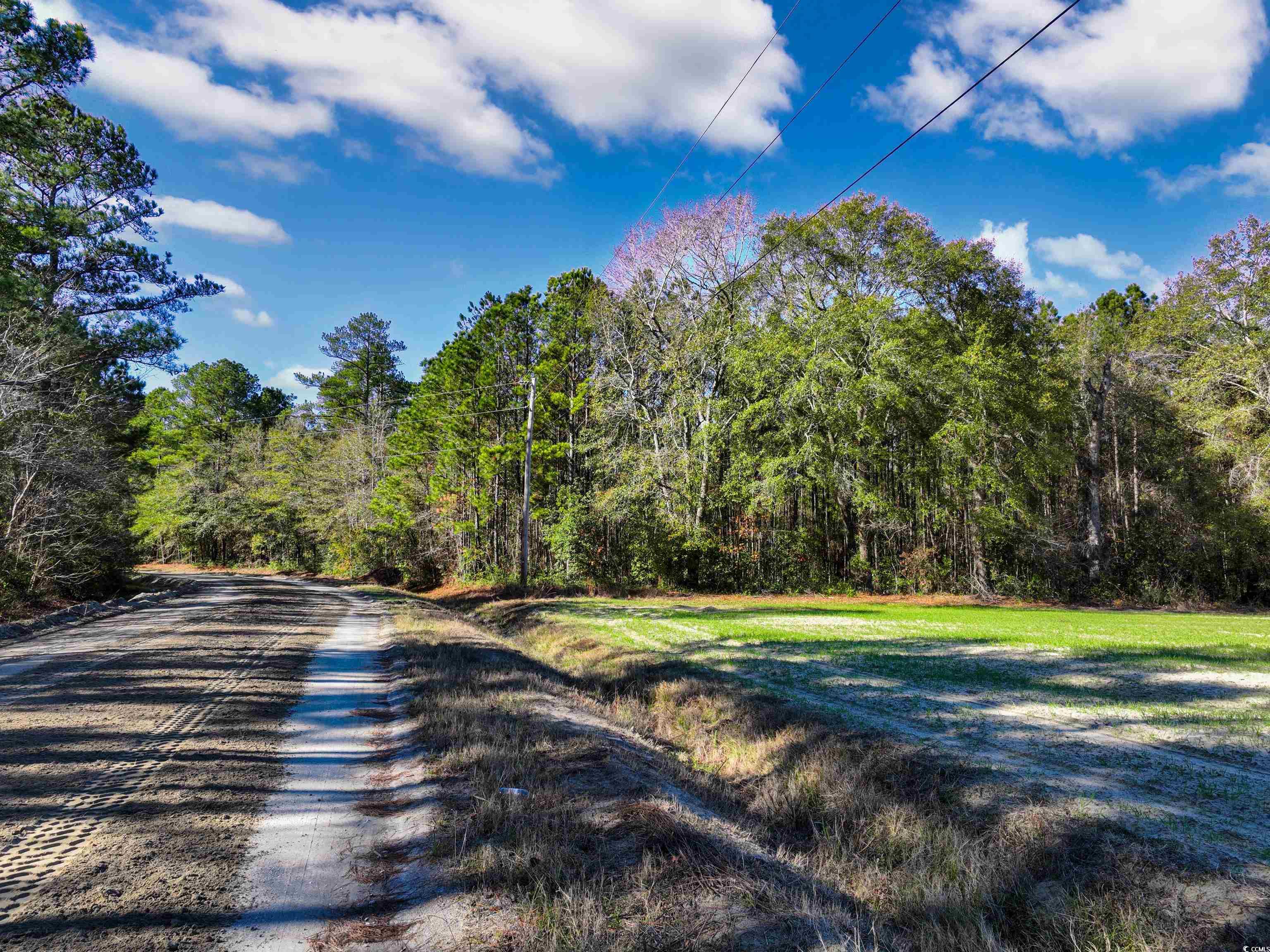 Tbd Sand Hill Bay Rd. Property Photo 9