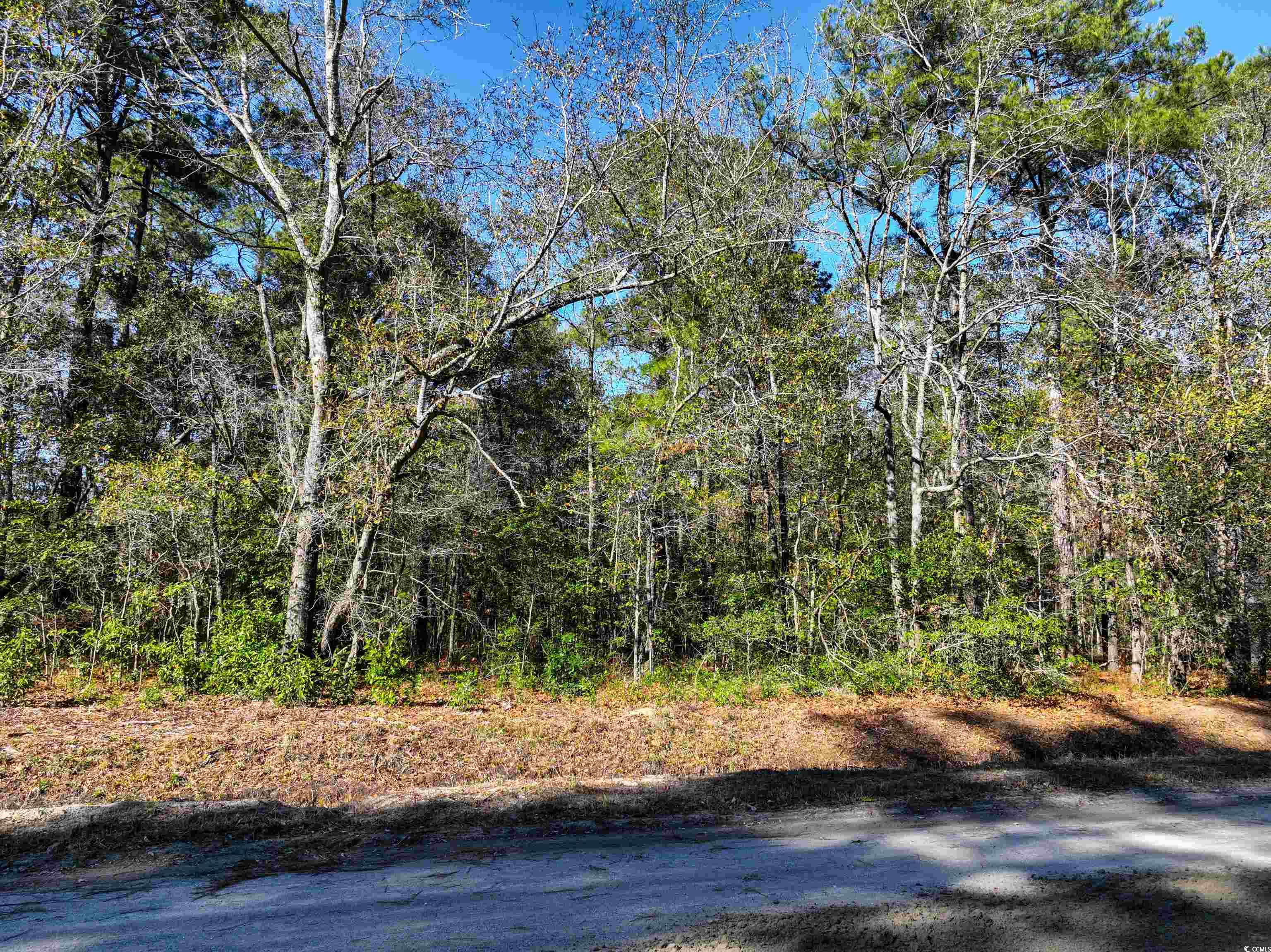 Tbd Sand Hill Bay Rd. Property Photo 11