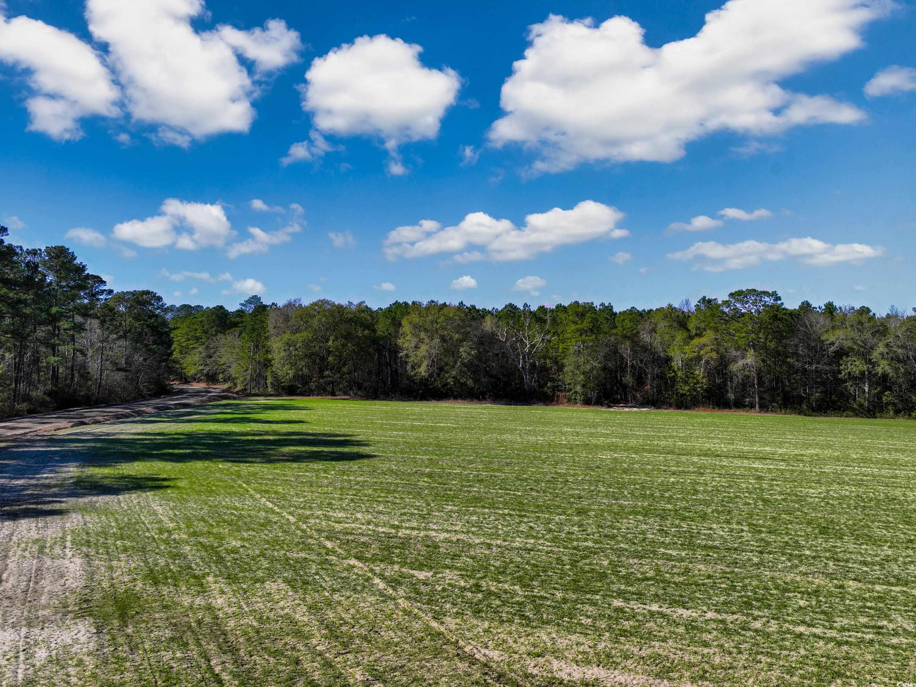 Tbd Sand Hill Bay Rd. Property Photo 12