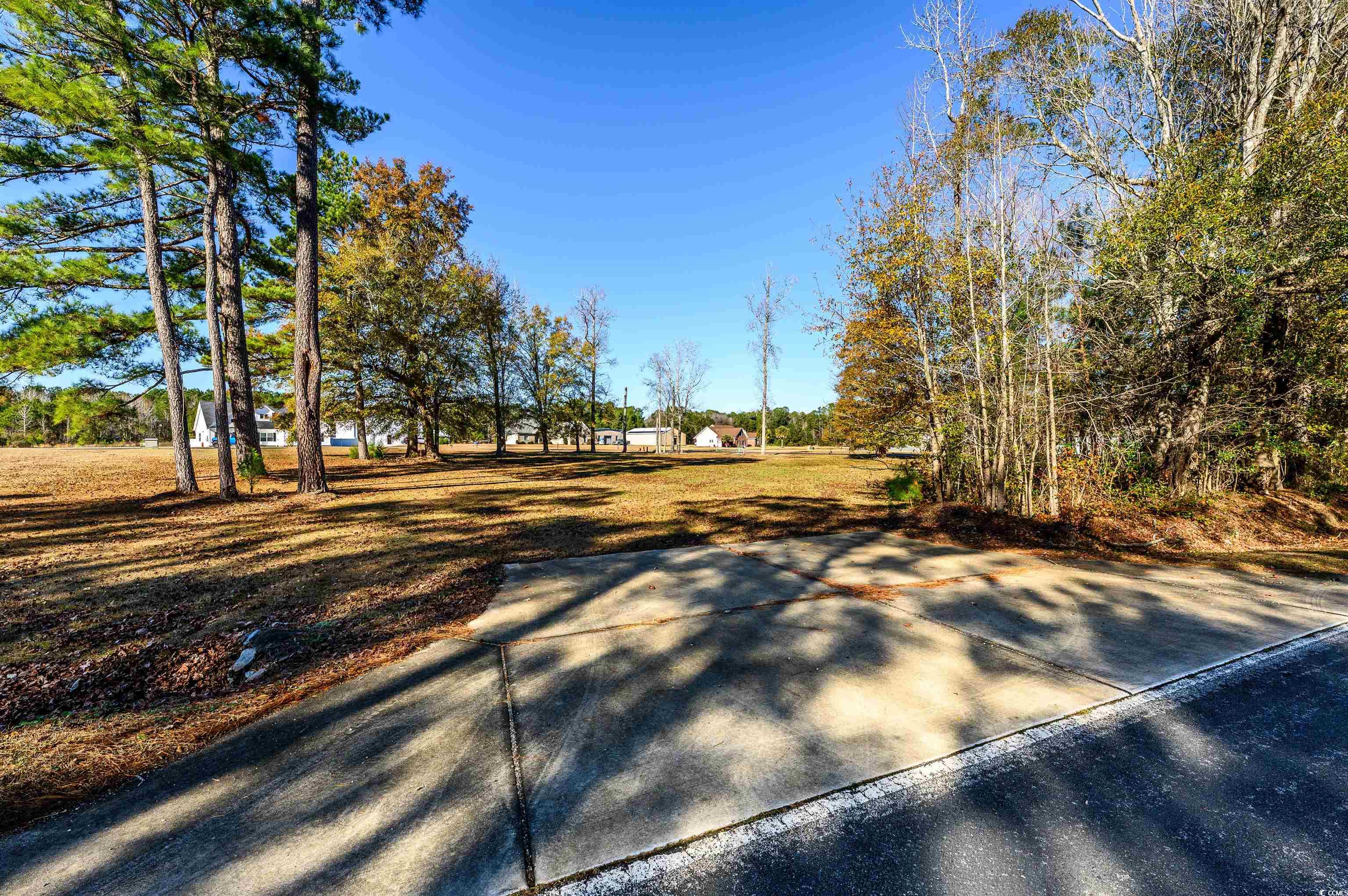 206 Mooney Ct. Property Photo 3