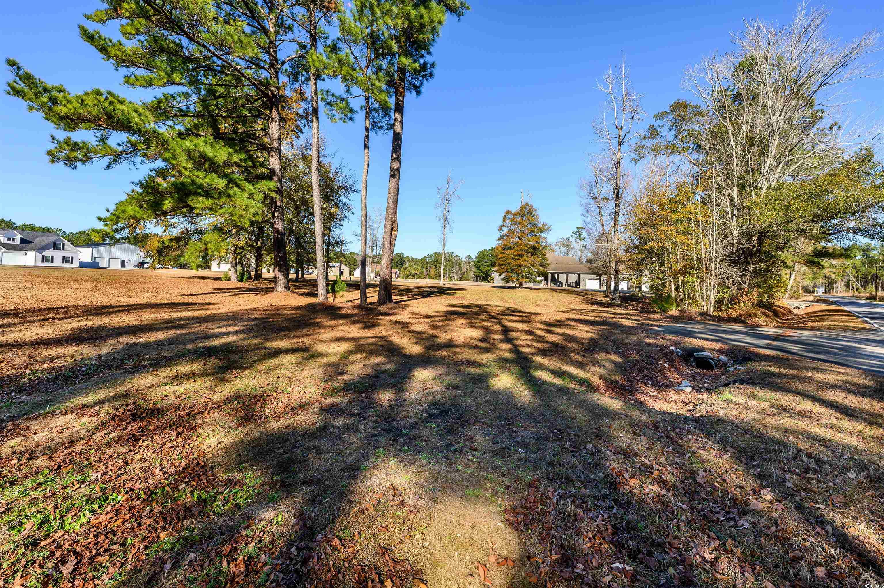 206 Mooney Ct. Property Photo 4
