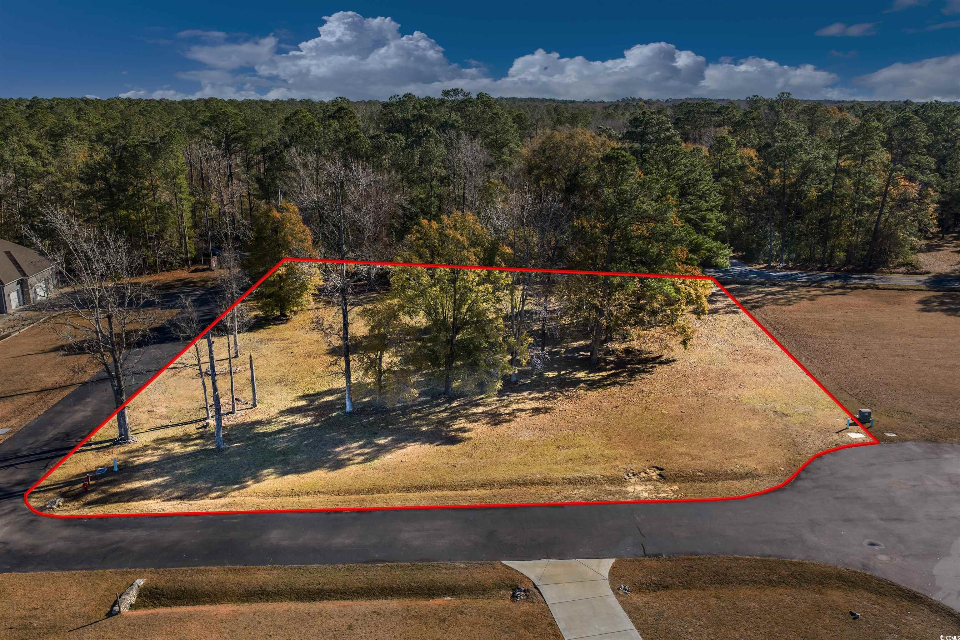 206 Mooney Ct. Property Photo 10