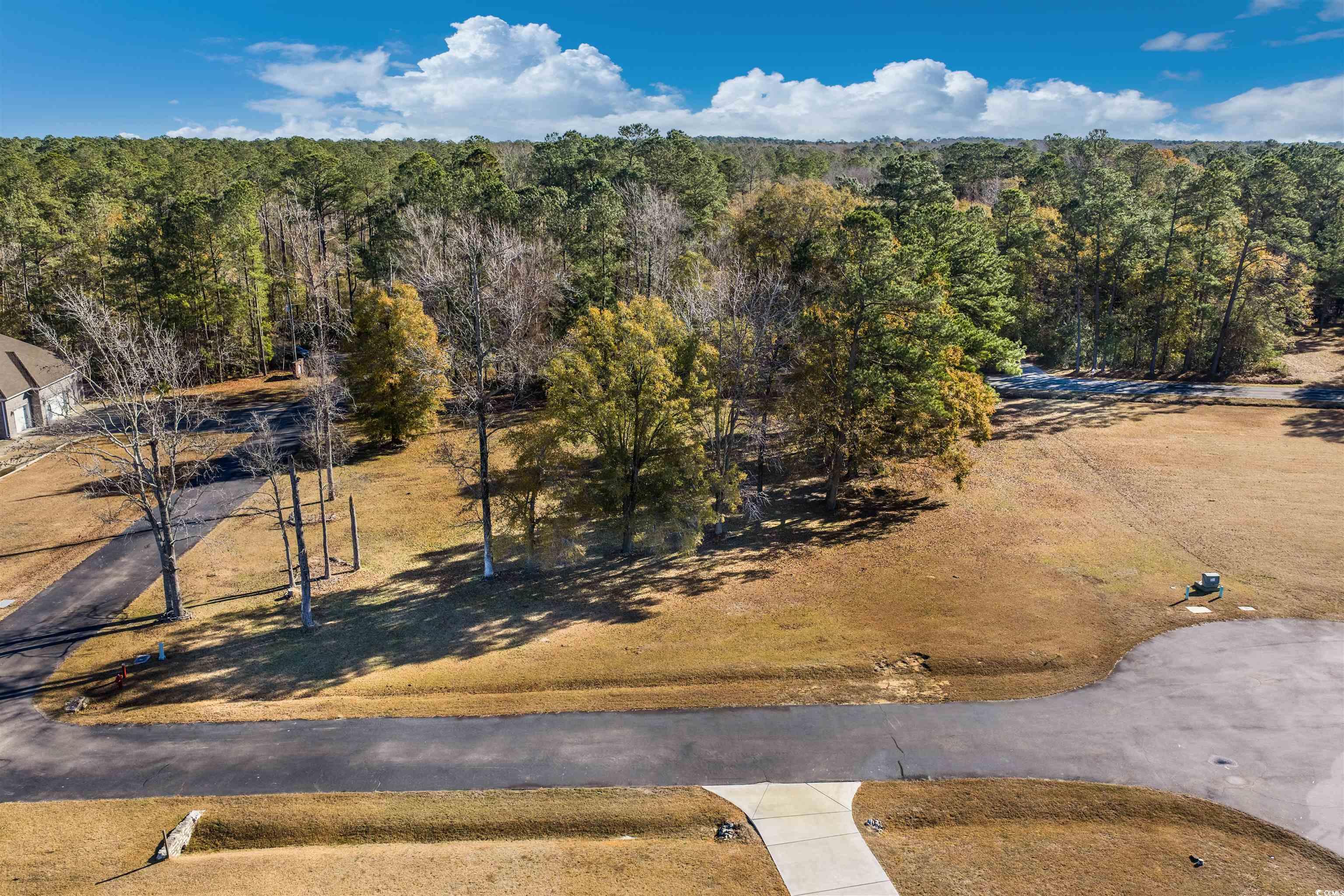 206 Mooney Ct. Property Photo 11