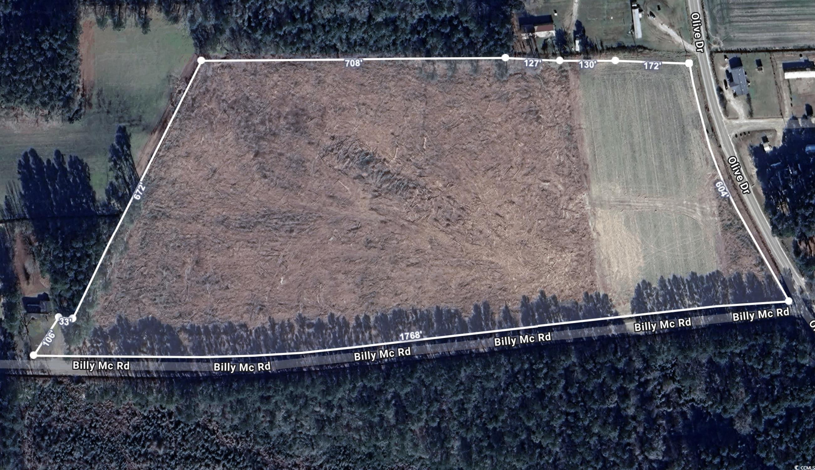 Tbd Billy Mc Rd. Property Photo 1