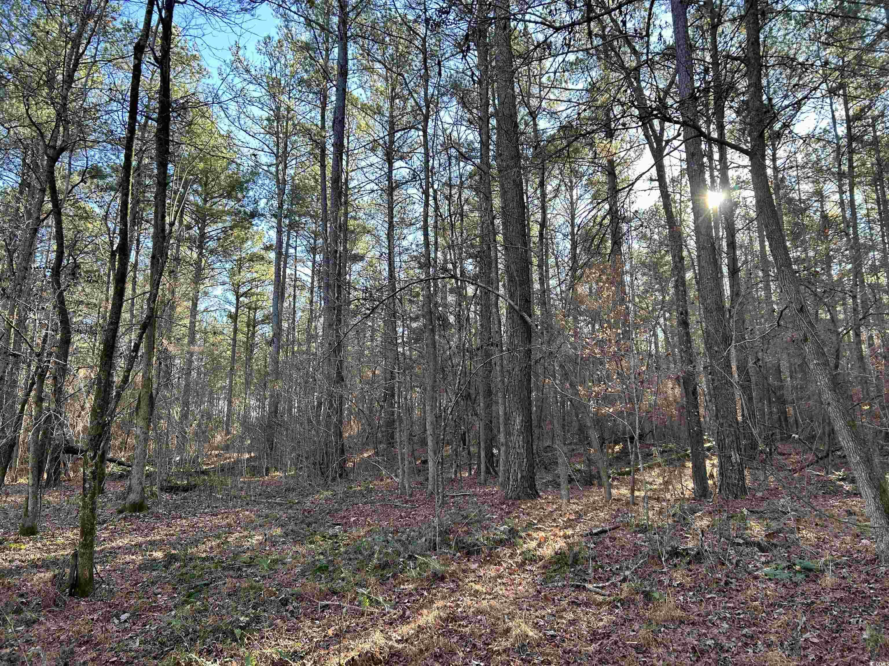 Duckwood Rd. Property Photo 2