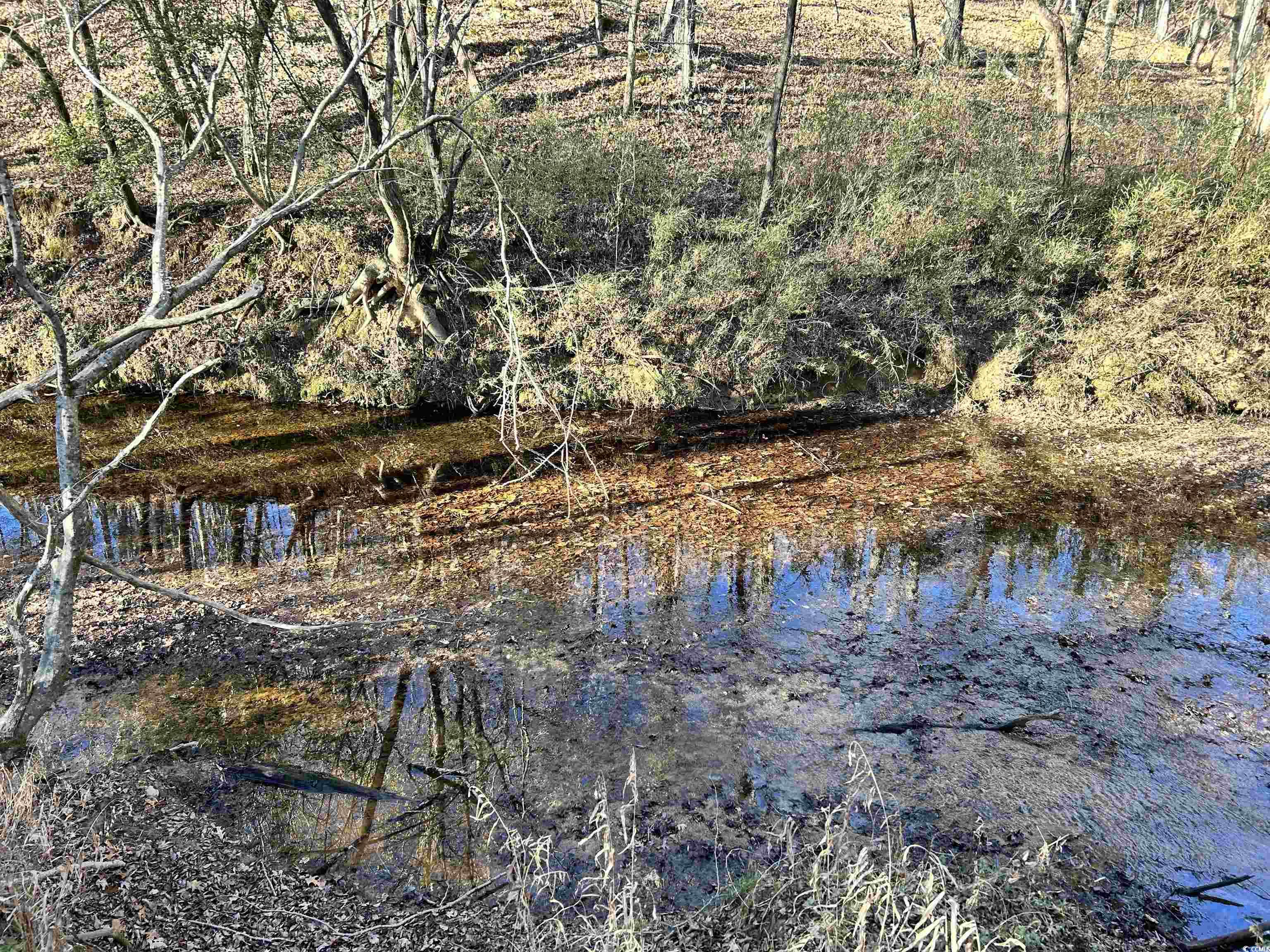 Duckwood Rd. Property Photo 3