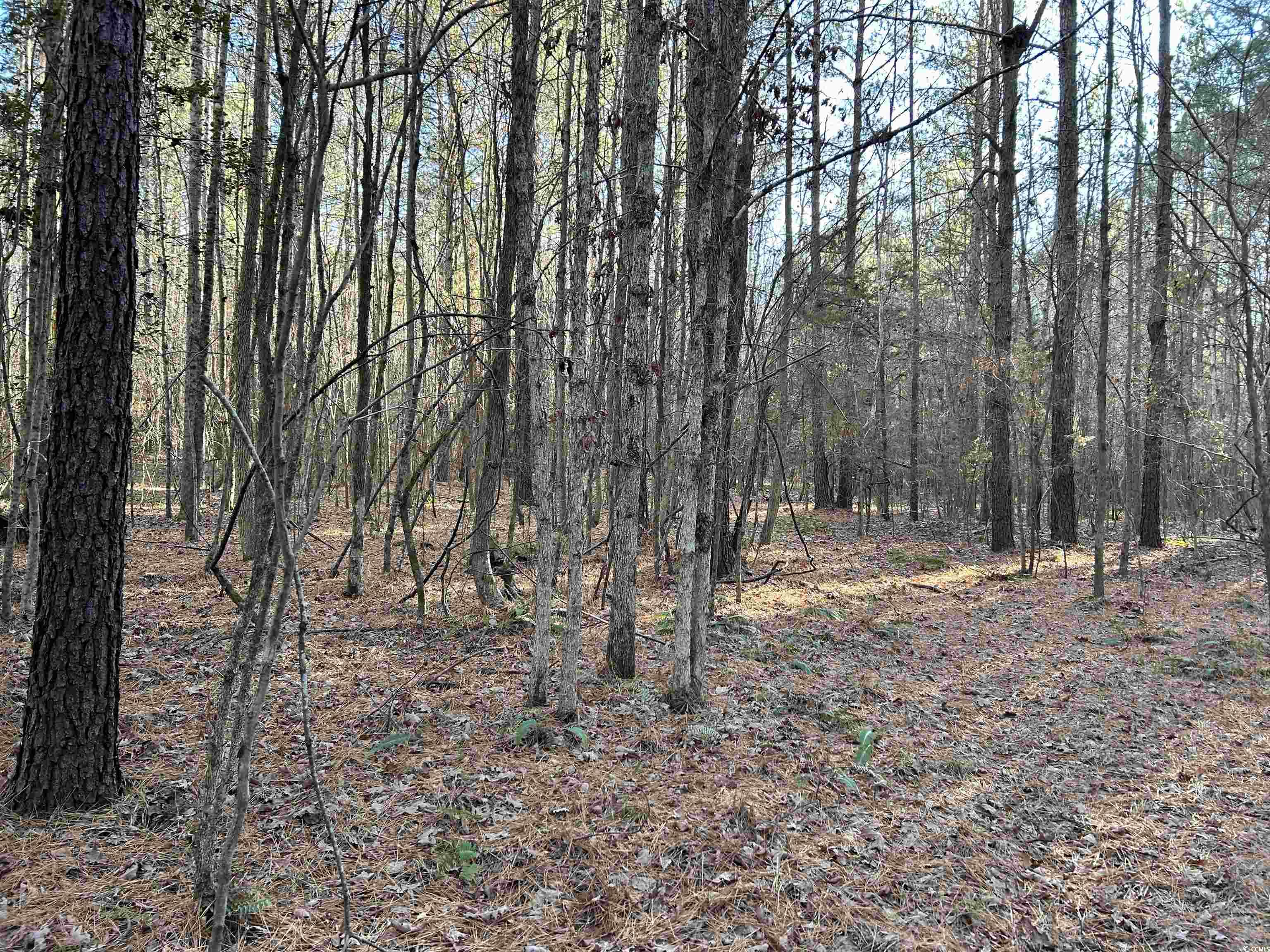 Duckwood Rd. Property Photo 4