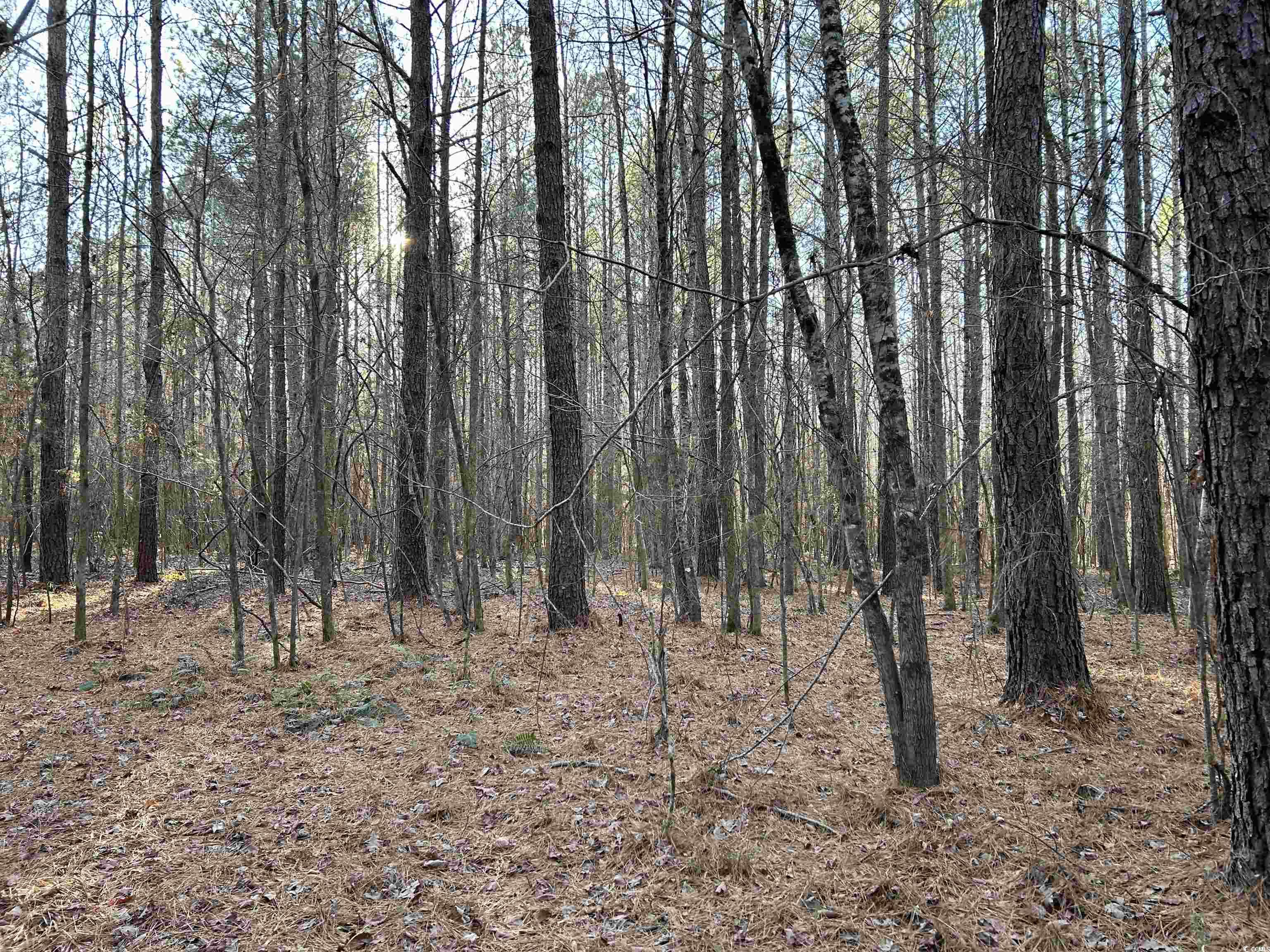 Duckwood Rd. Property Photo 5