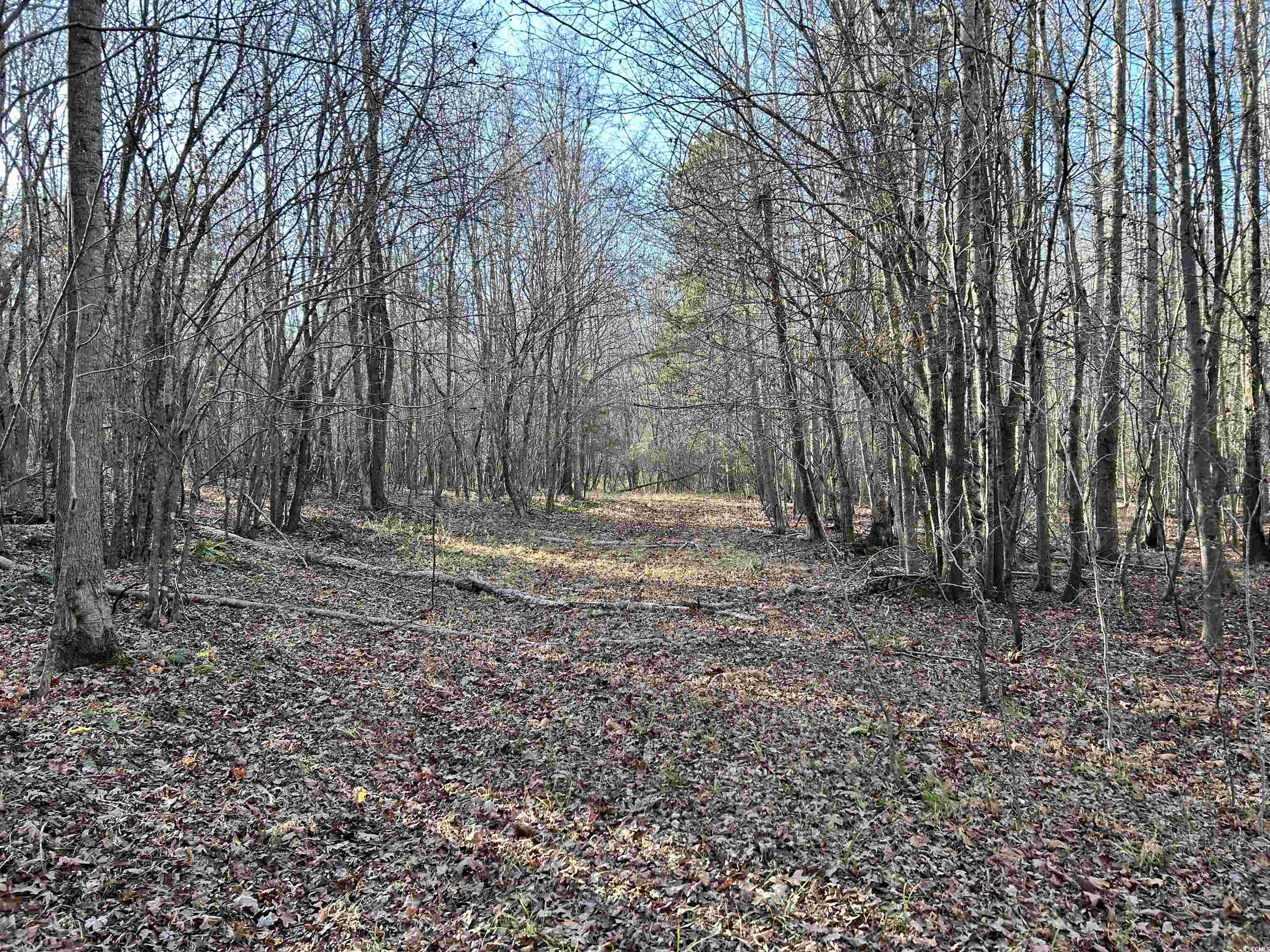 Duckwood Rd. Property Photo 7