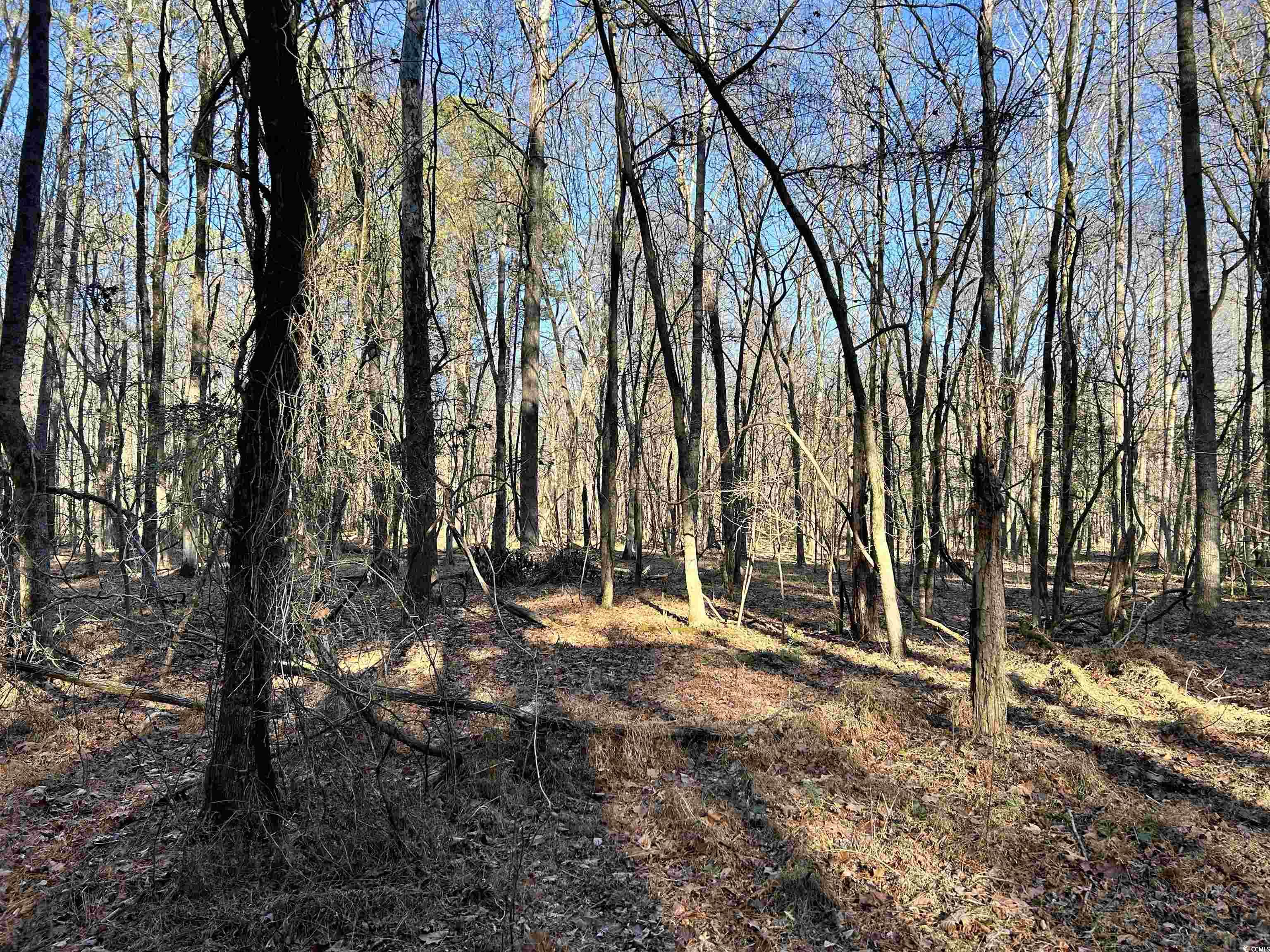 Duckwood Rd. Property Photo 8