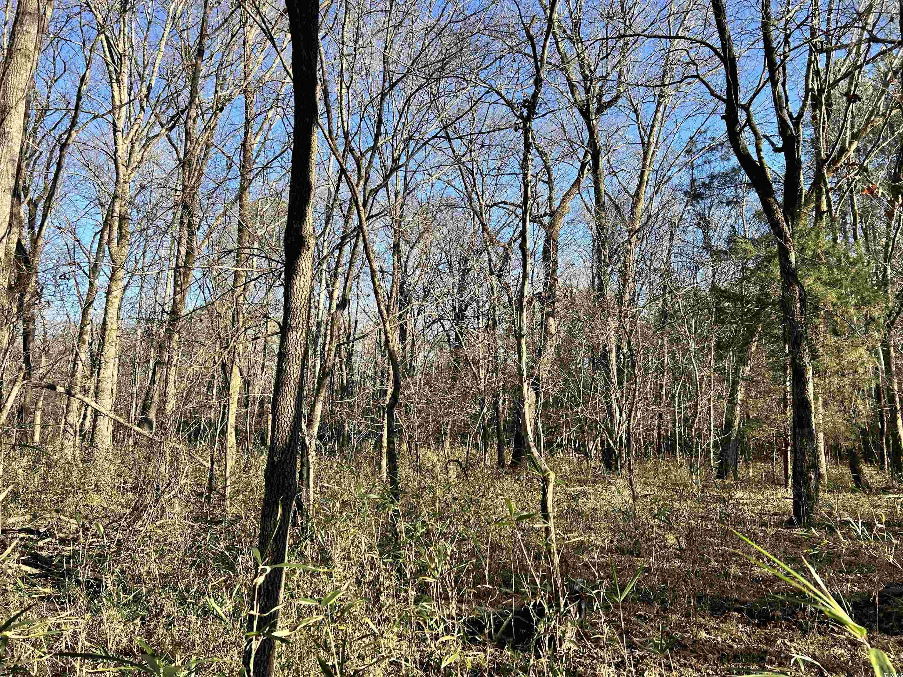 Duckwood Rd. Property Photo 10